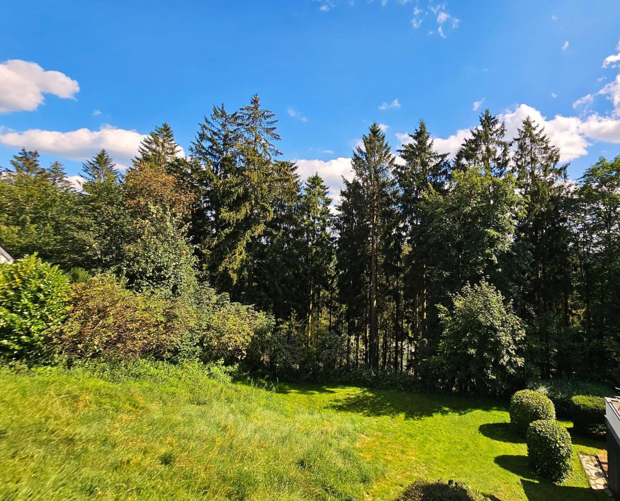 Winterberg Appartement 6 Pers aan Skilift grootste Skigebied nabij Bikepark Unieke locatie met zeer rustige tuin in het bos en het gezellige centrum leuke 