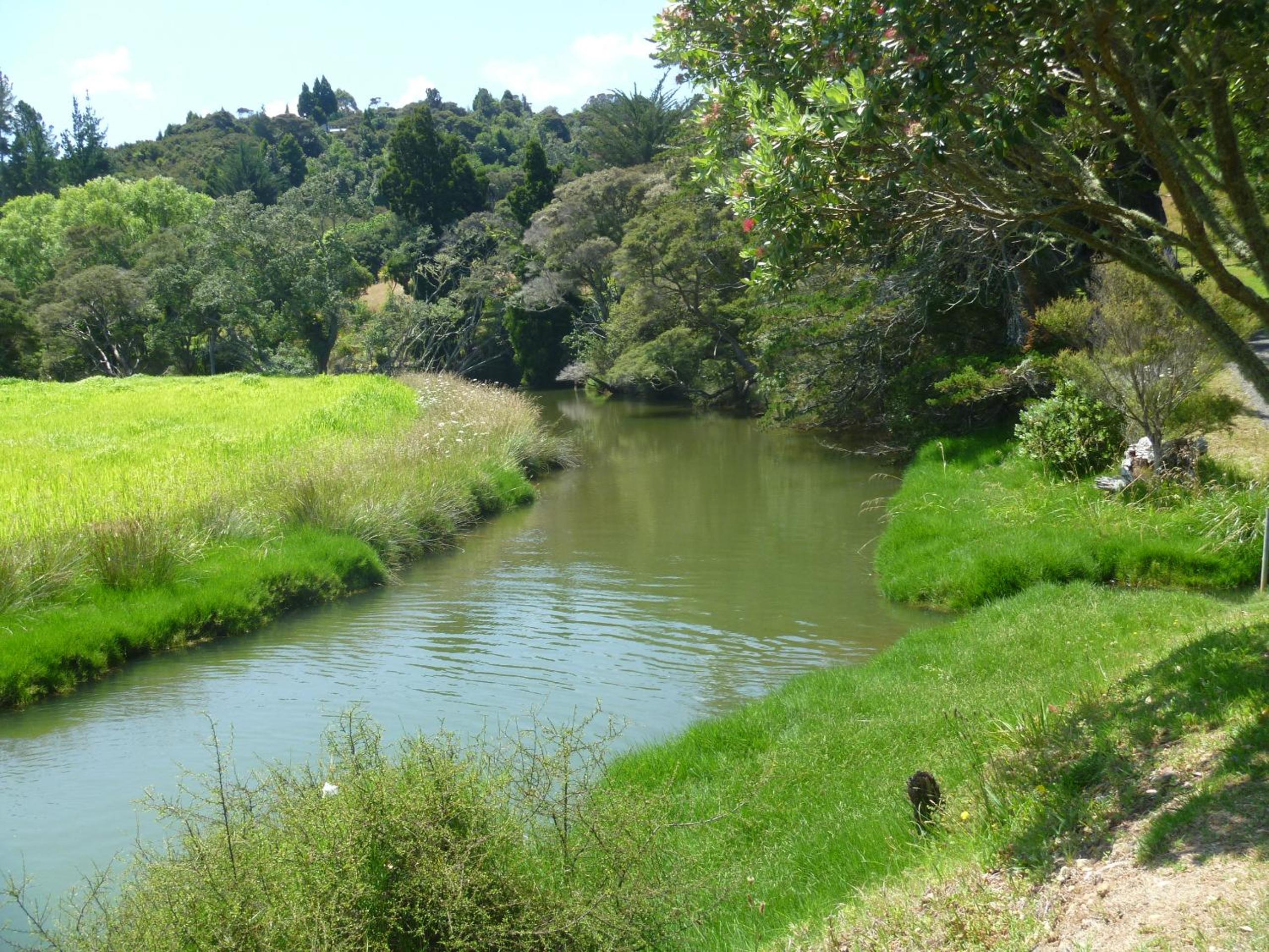 Photo 40