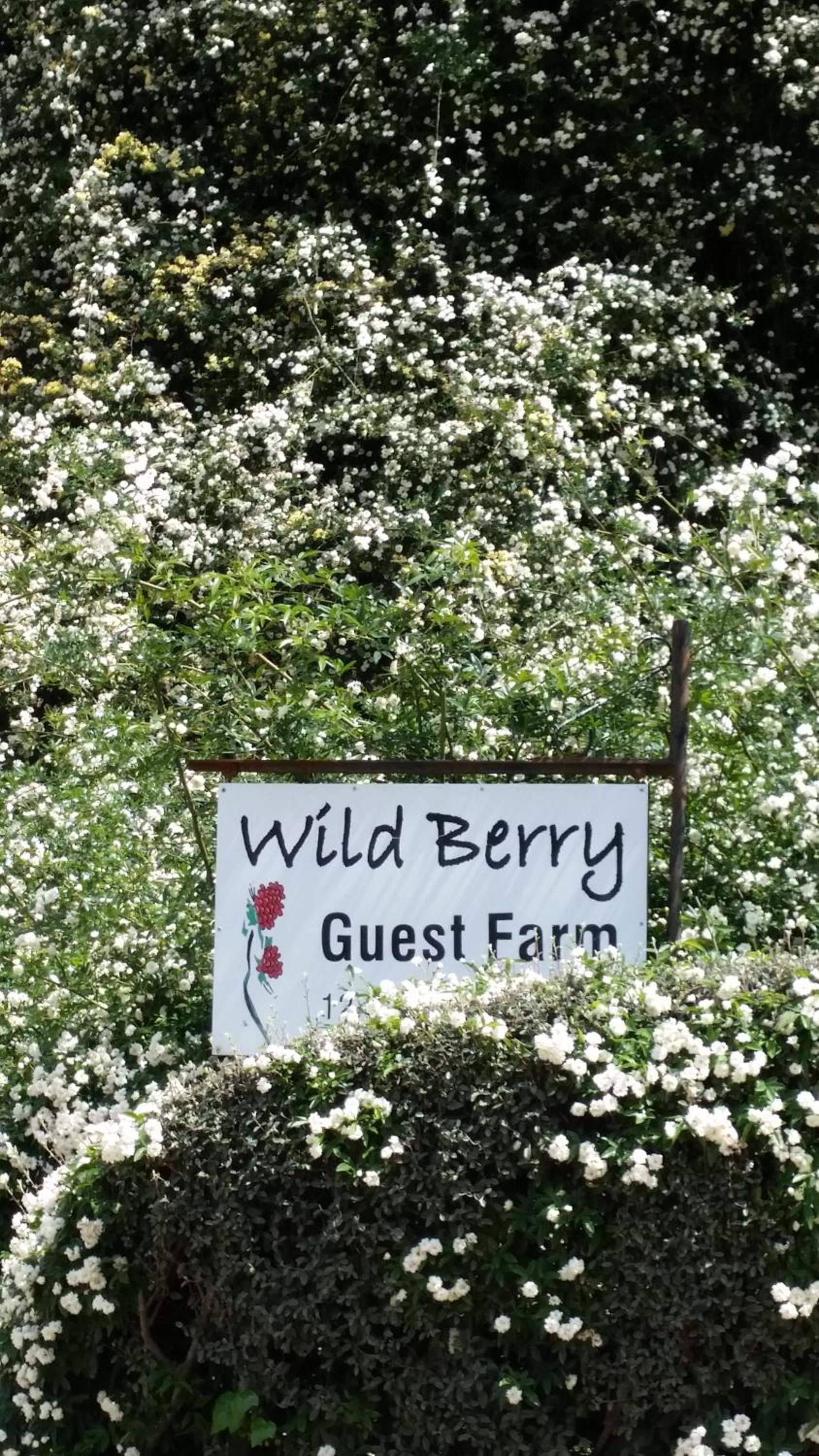 Wild Berry Guest Farm view 2