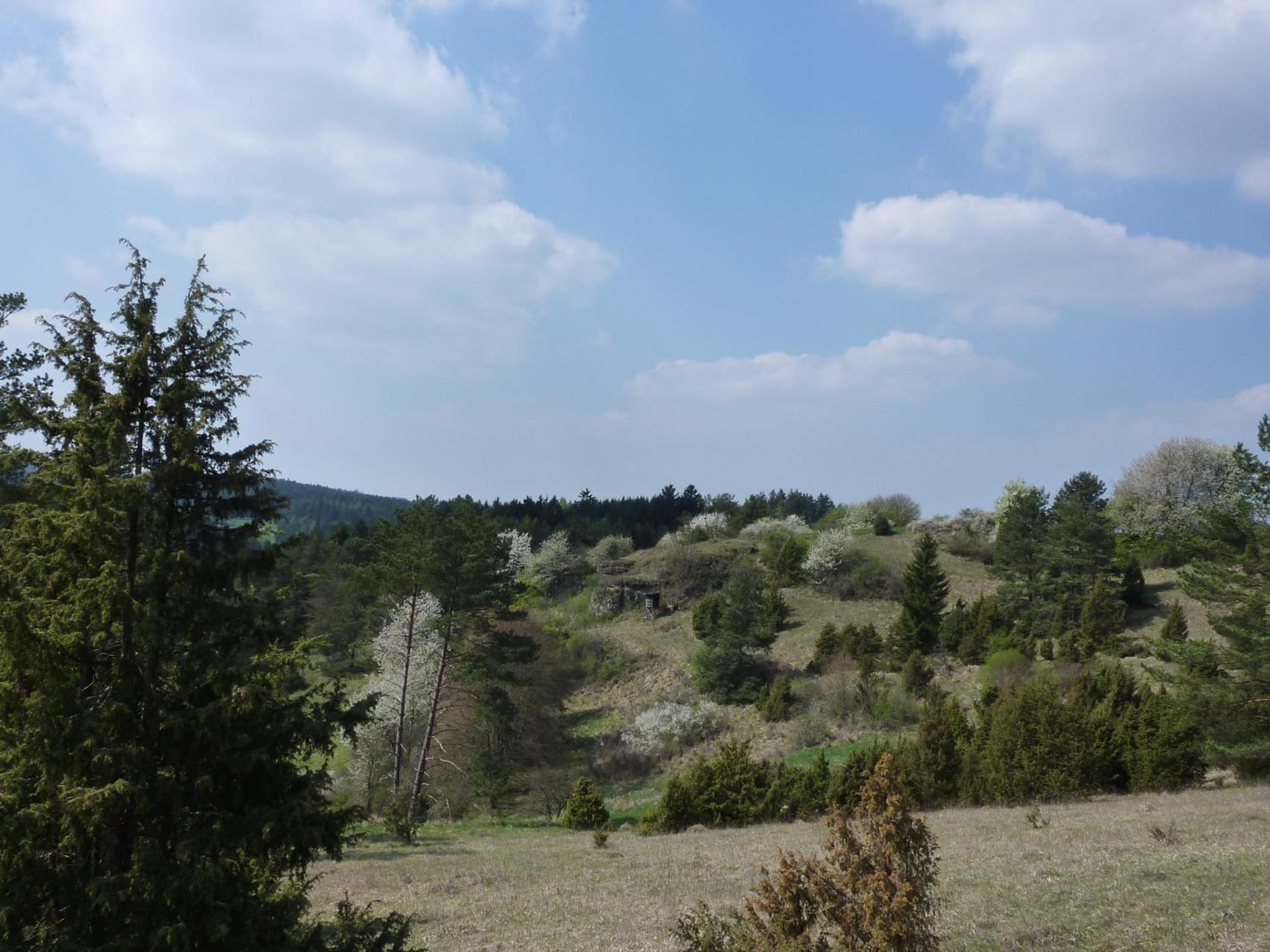 Ferienwohnung Willner