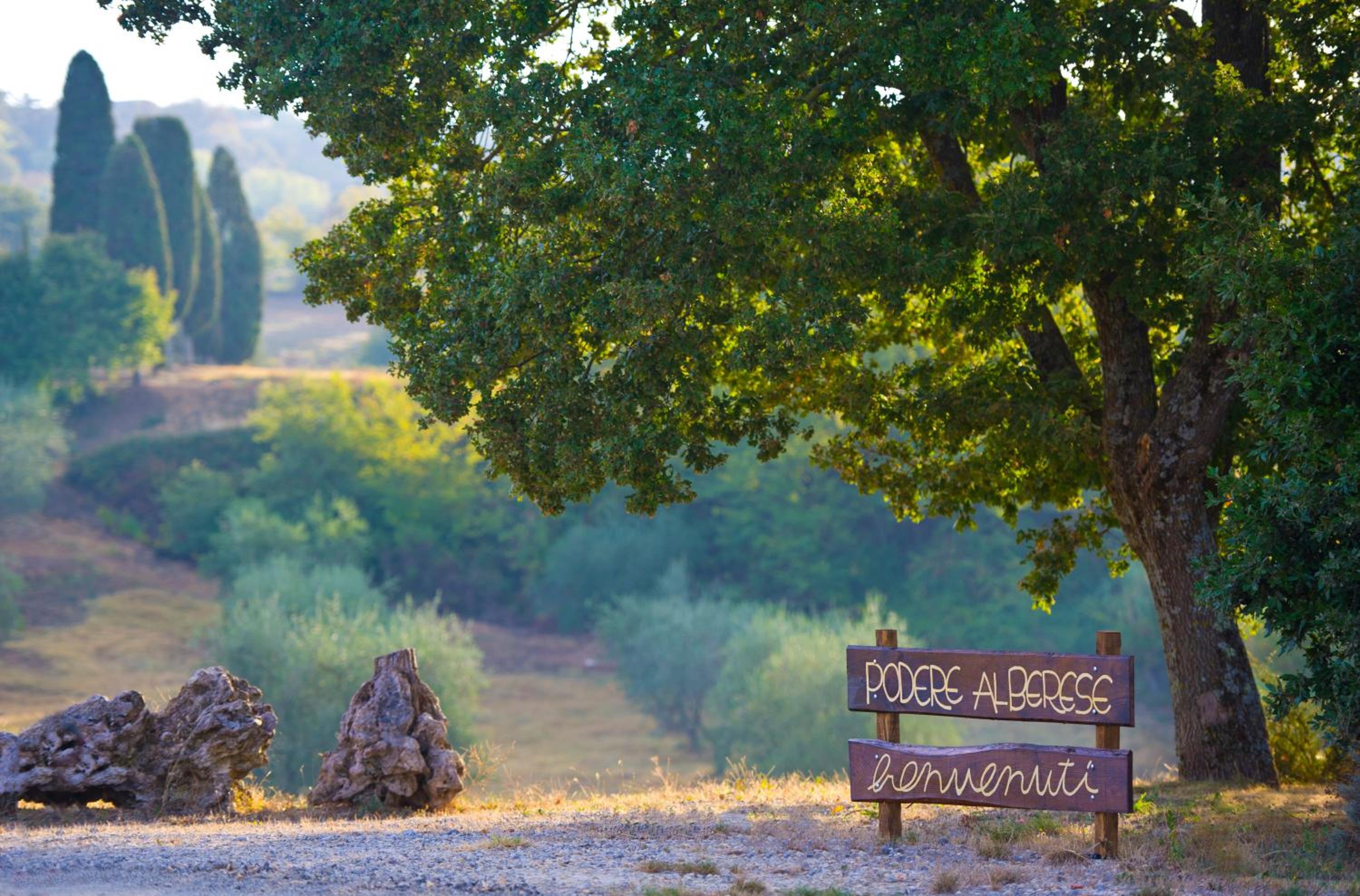 Agriturismo Podere Alberese