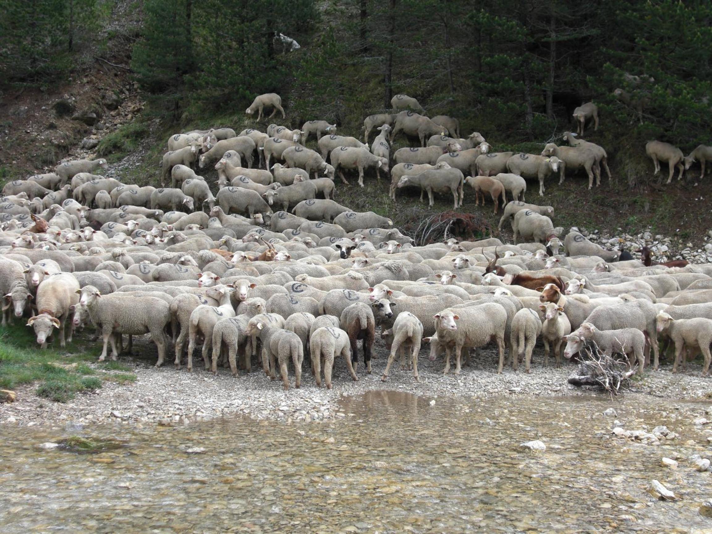 La Sauvanière