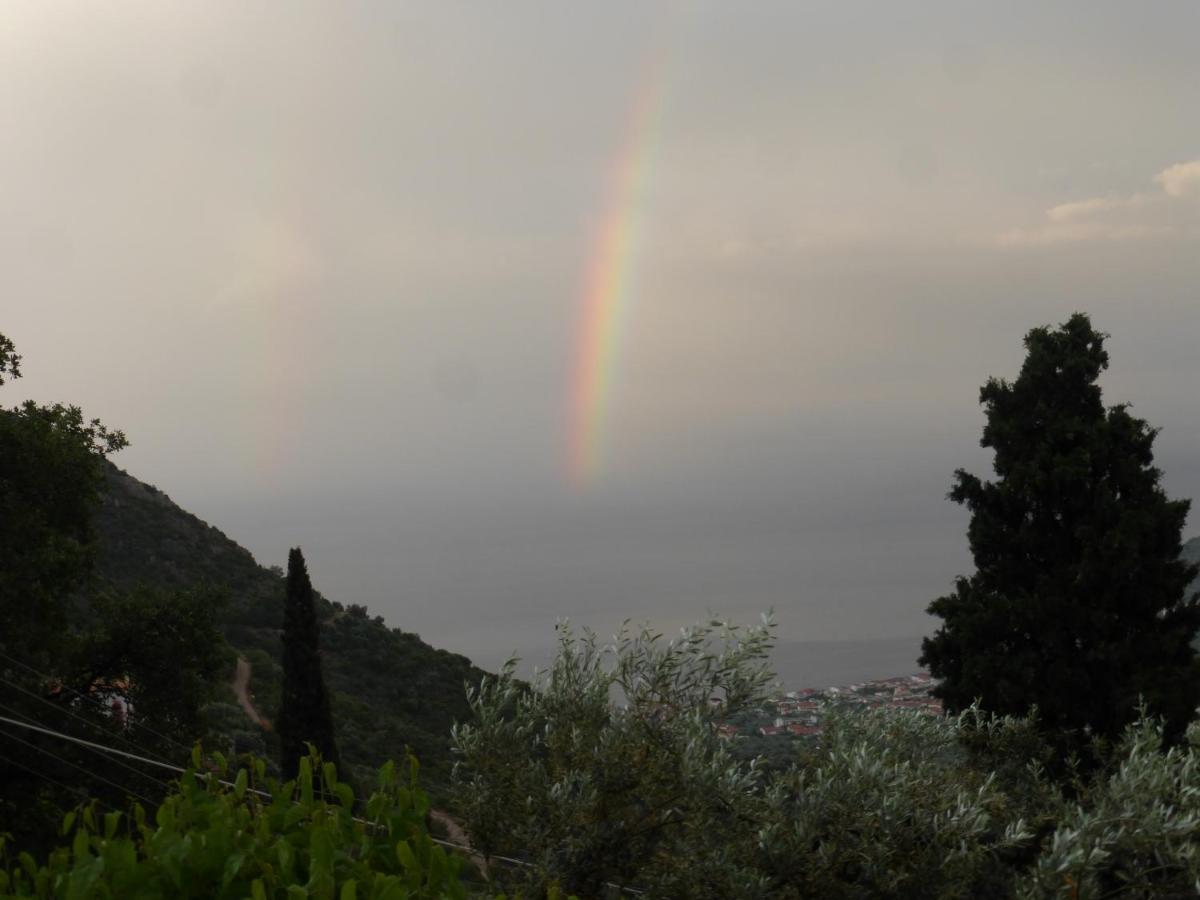 Photo 36