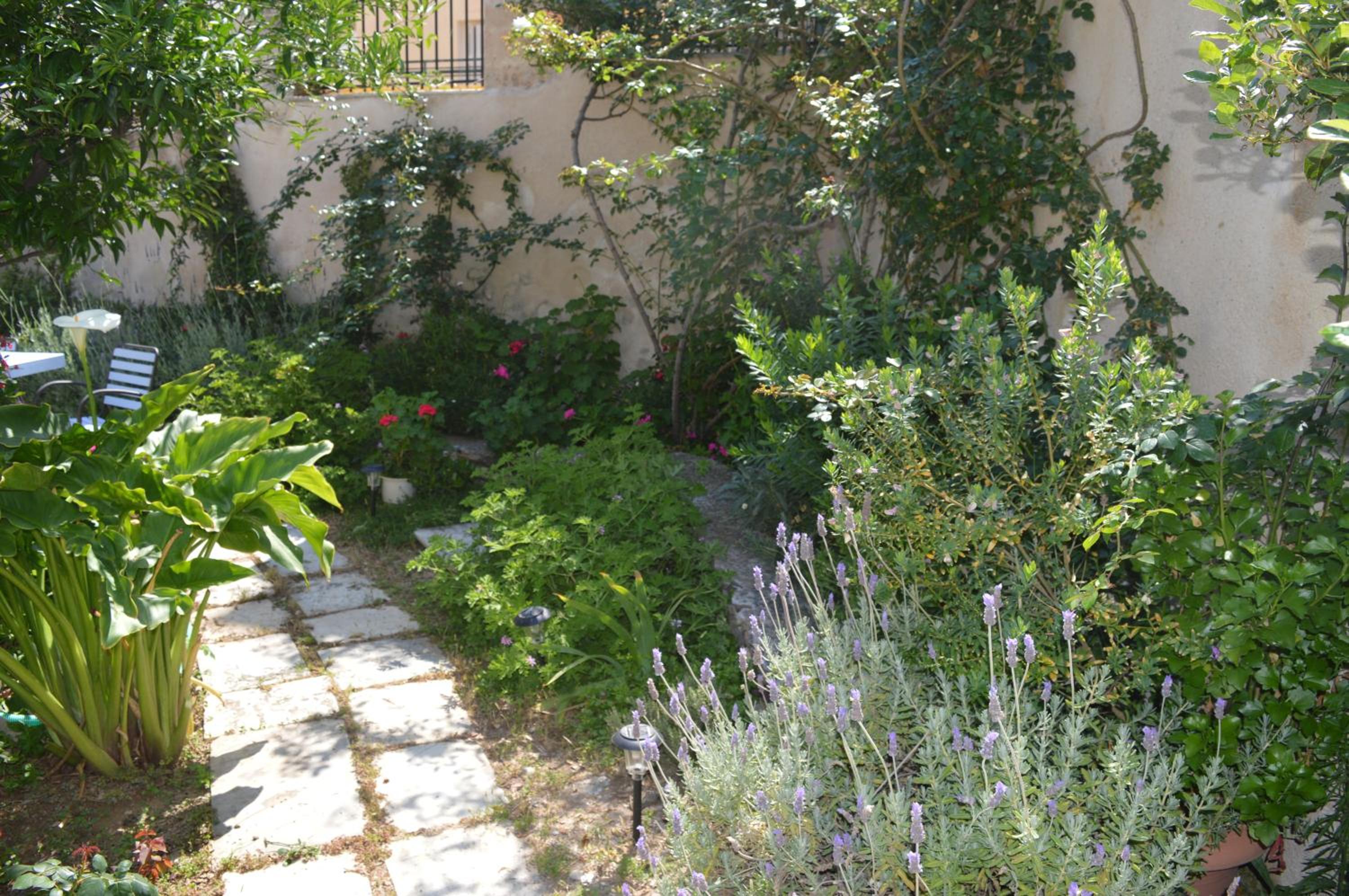 Antouanetta Apartments
