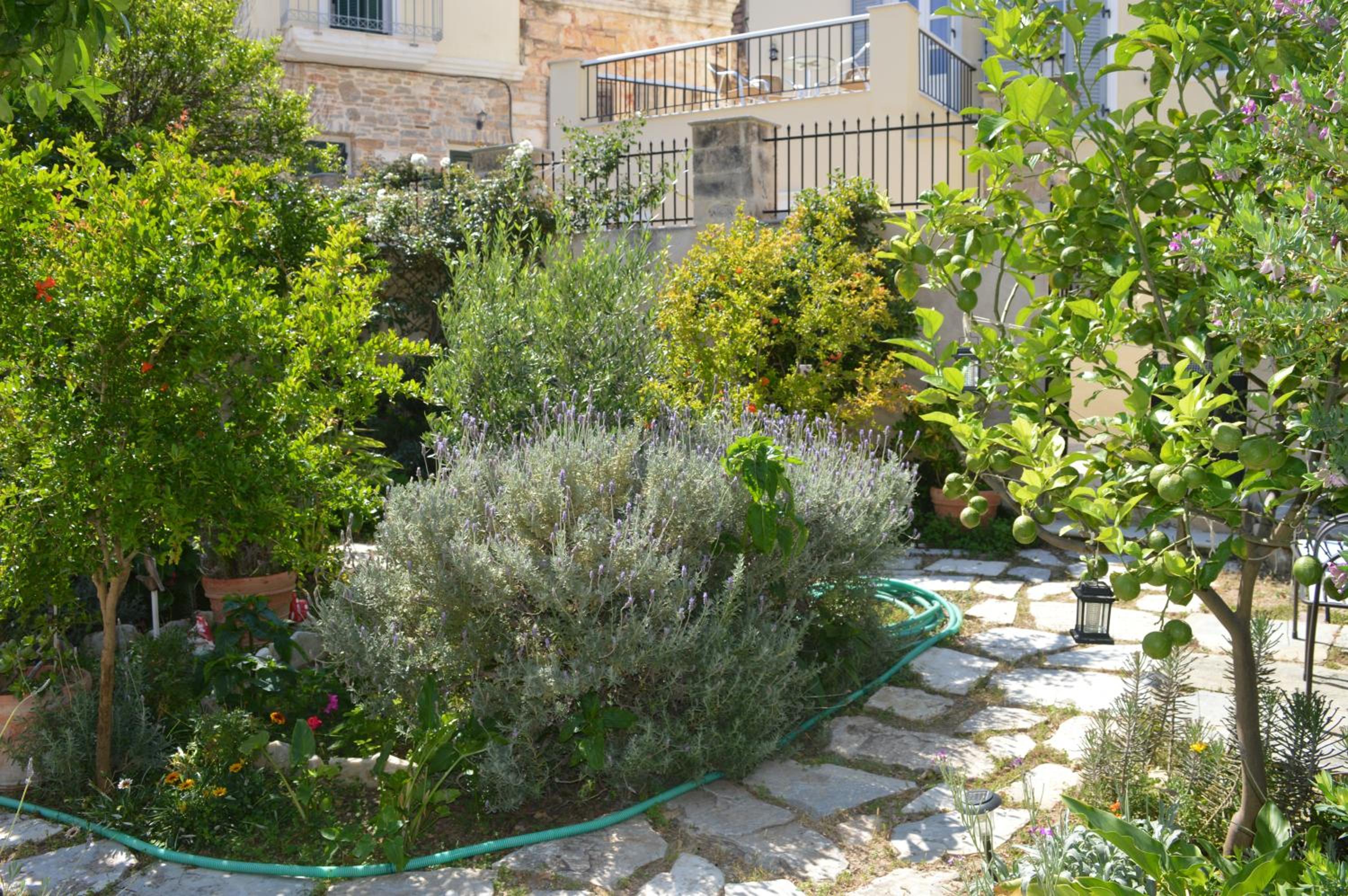 Antouanetta Apartments