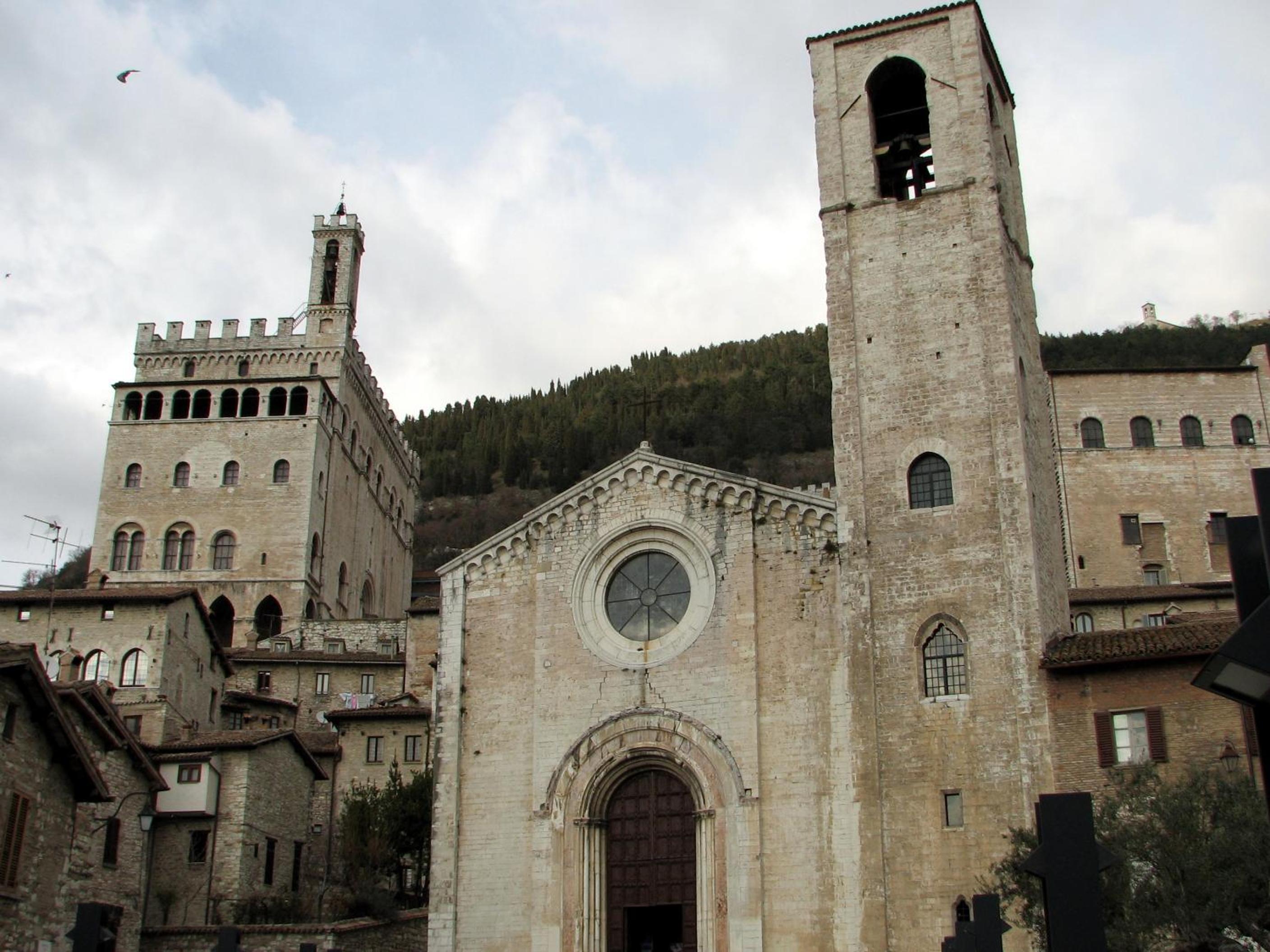 Photo 42
