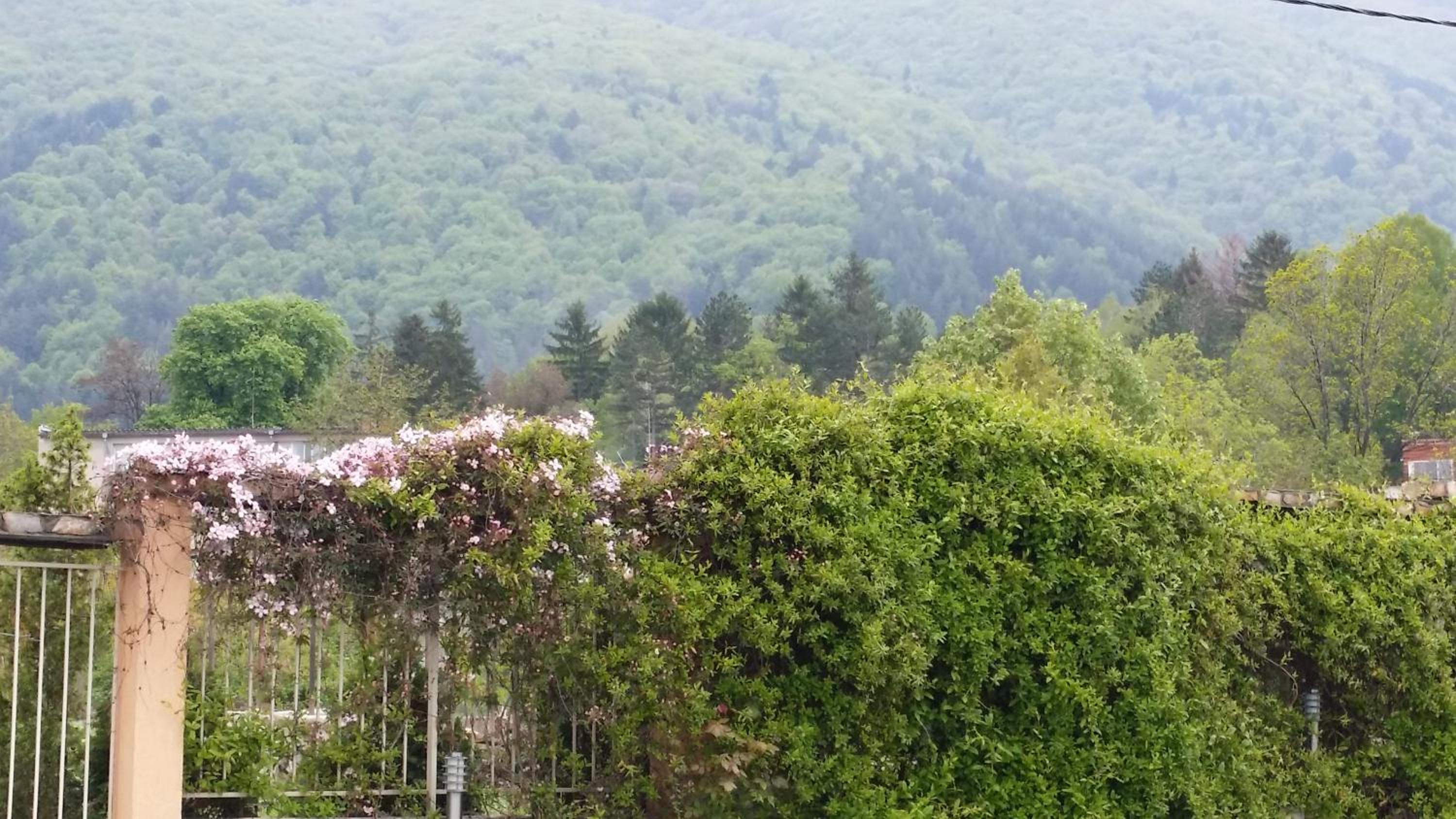 Holiday House Kubrat