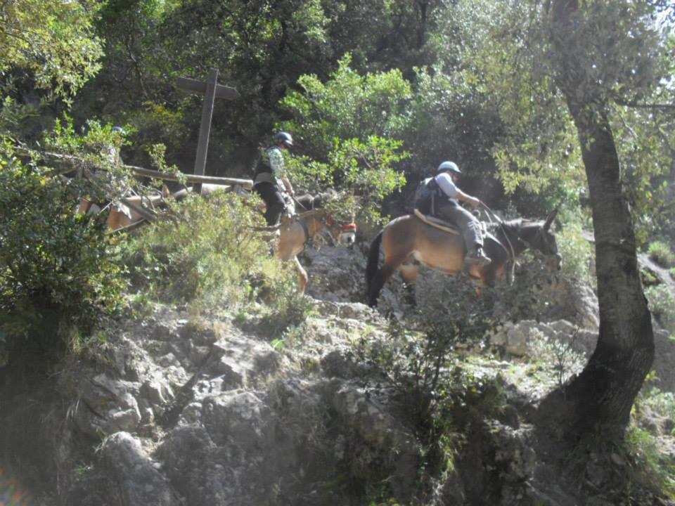 Photo 53