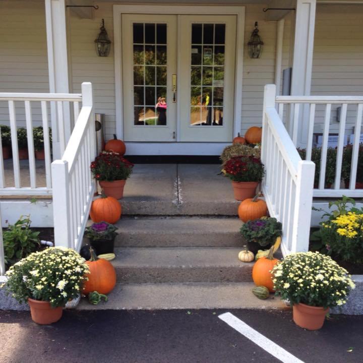 Photo 12