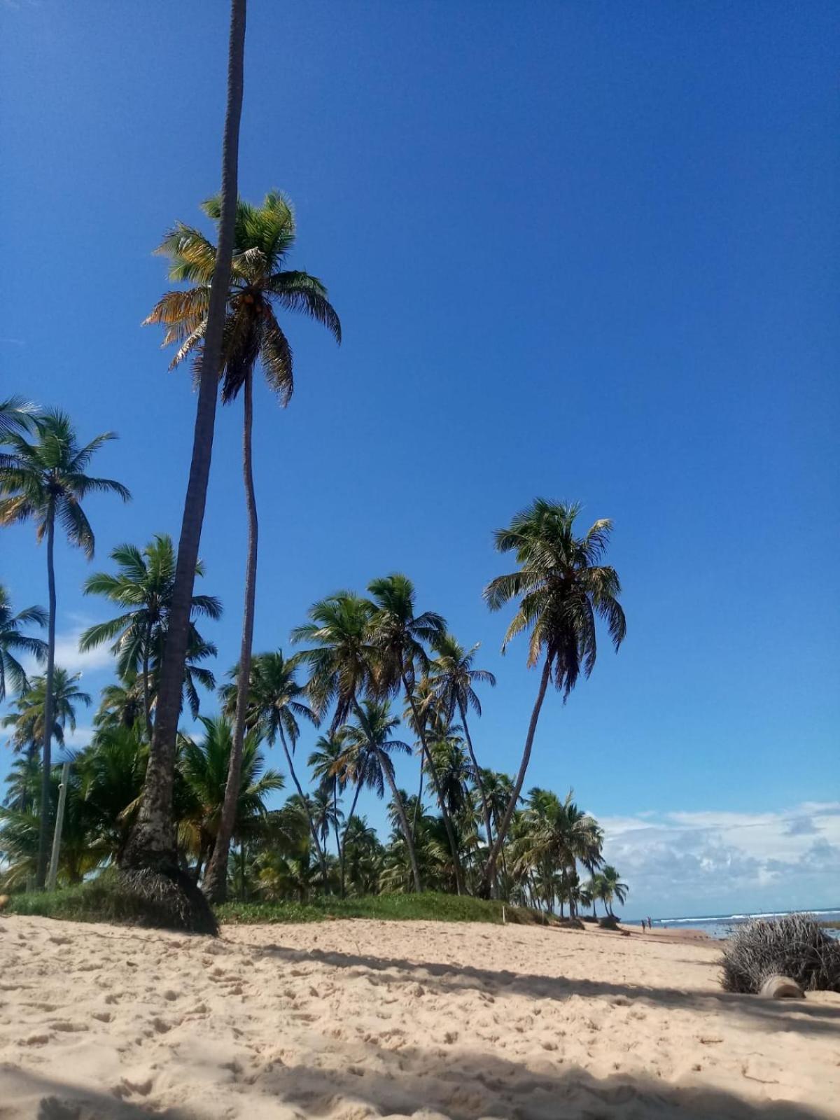 Casa da Dona Filhinha, paz e localização perfeita na vila da Praia do Forte BA
