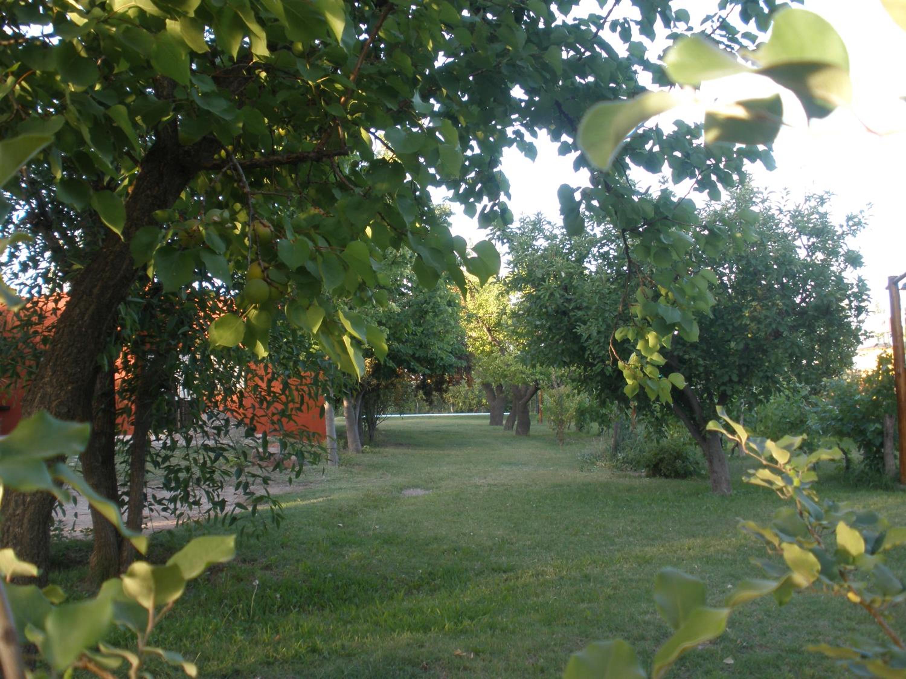 Tardecitas del Atuel