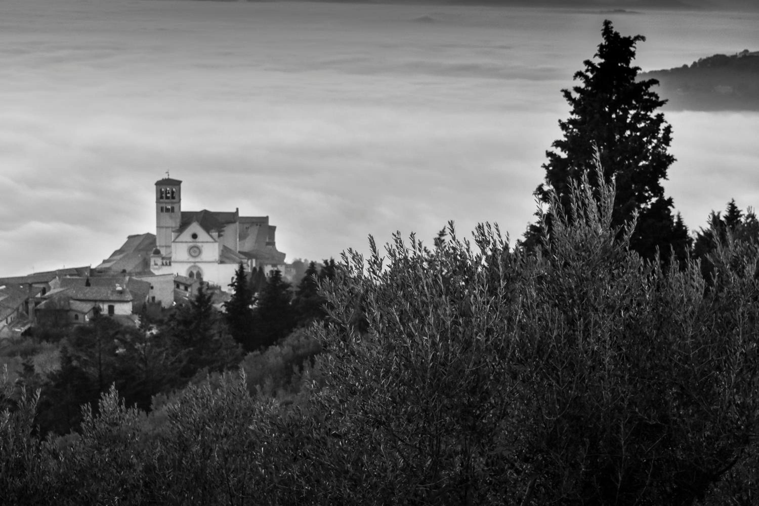 B&B Cantico Delle Creature