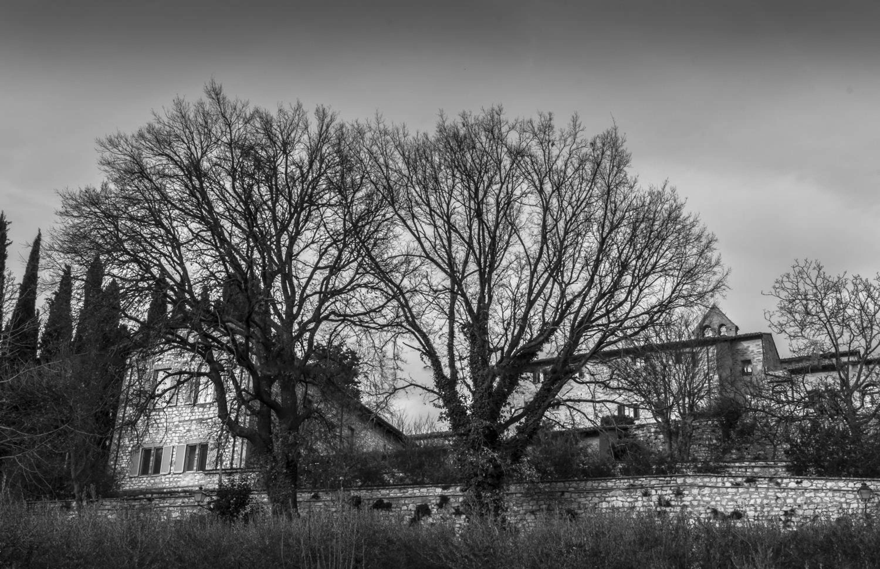 B&B Cantico Delle Creature