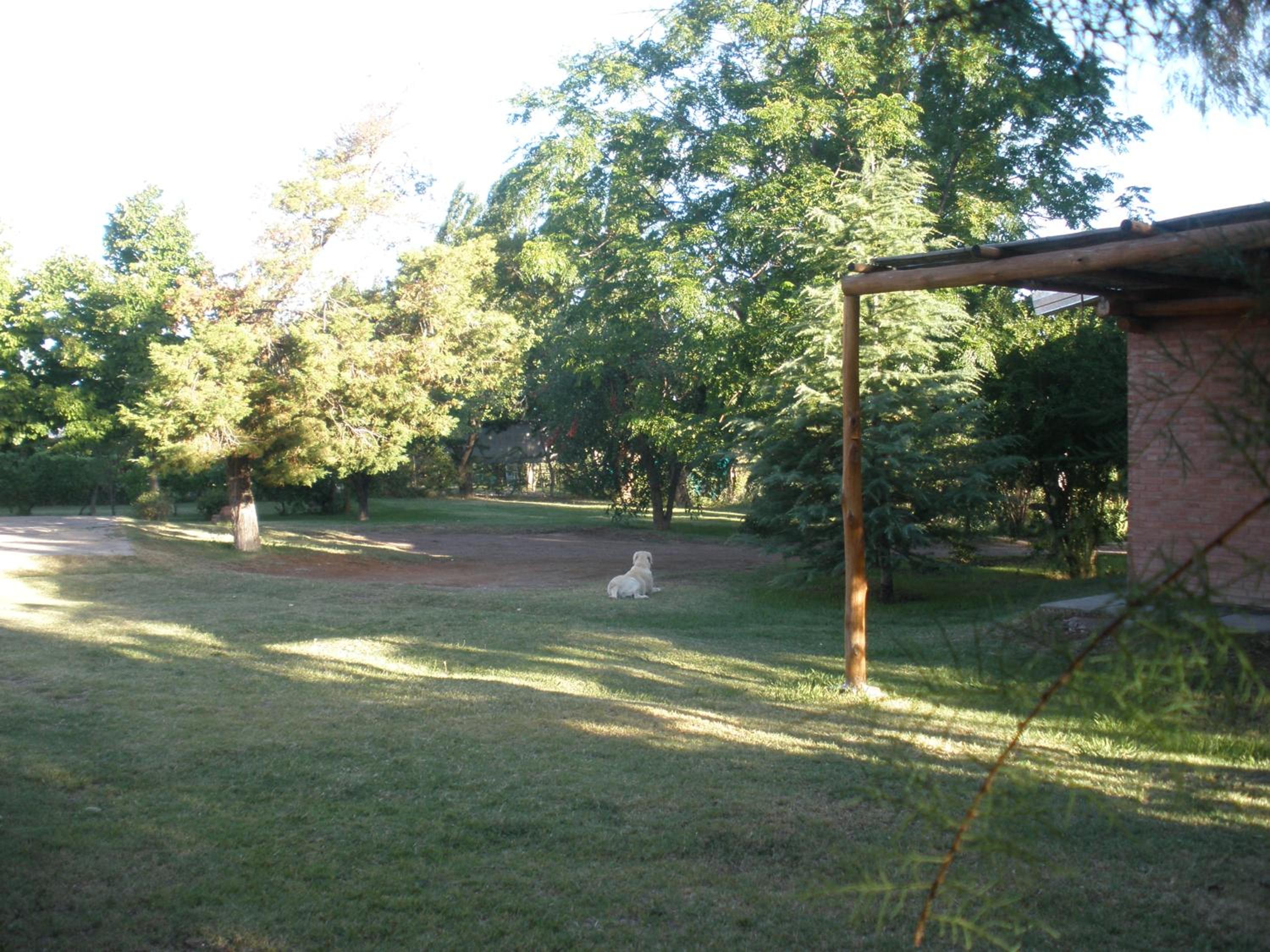 Tardecitas del Atuel