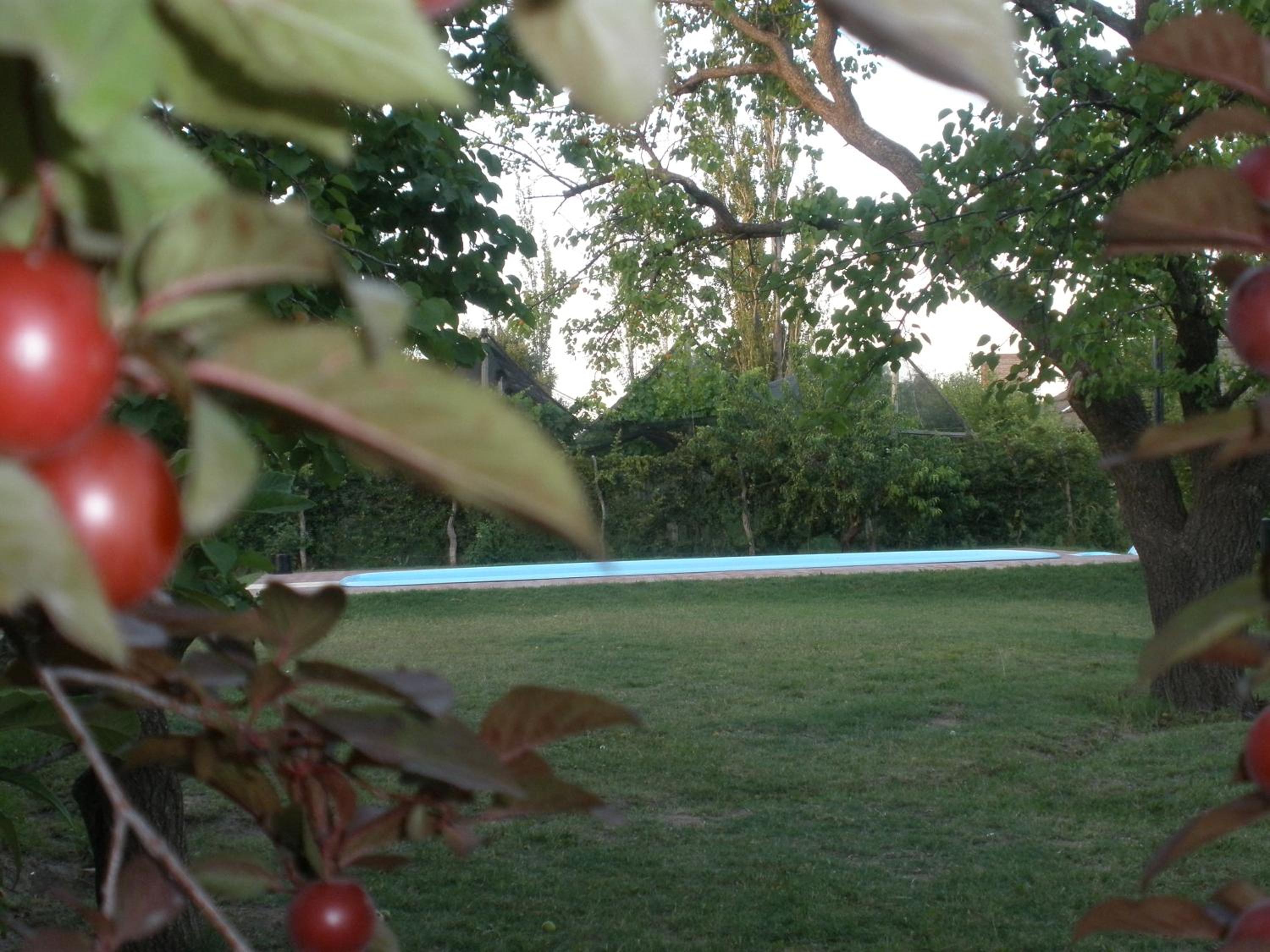 Tardecitas del Atuel