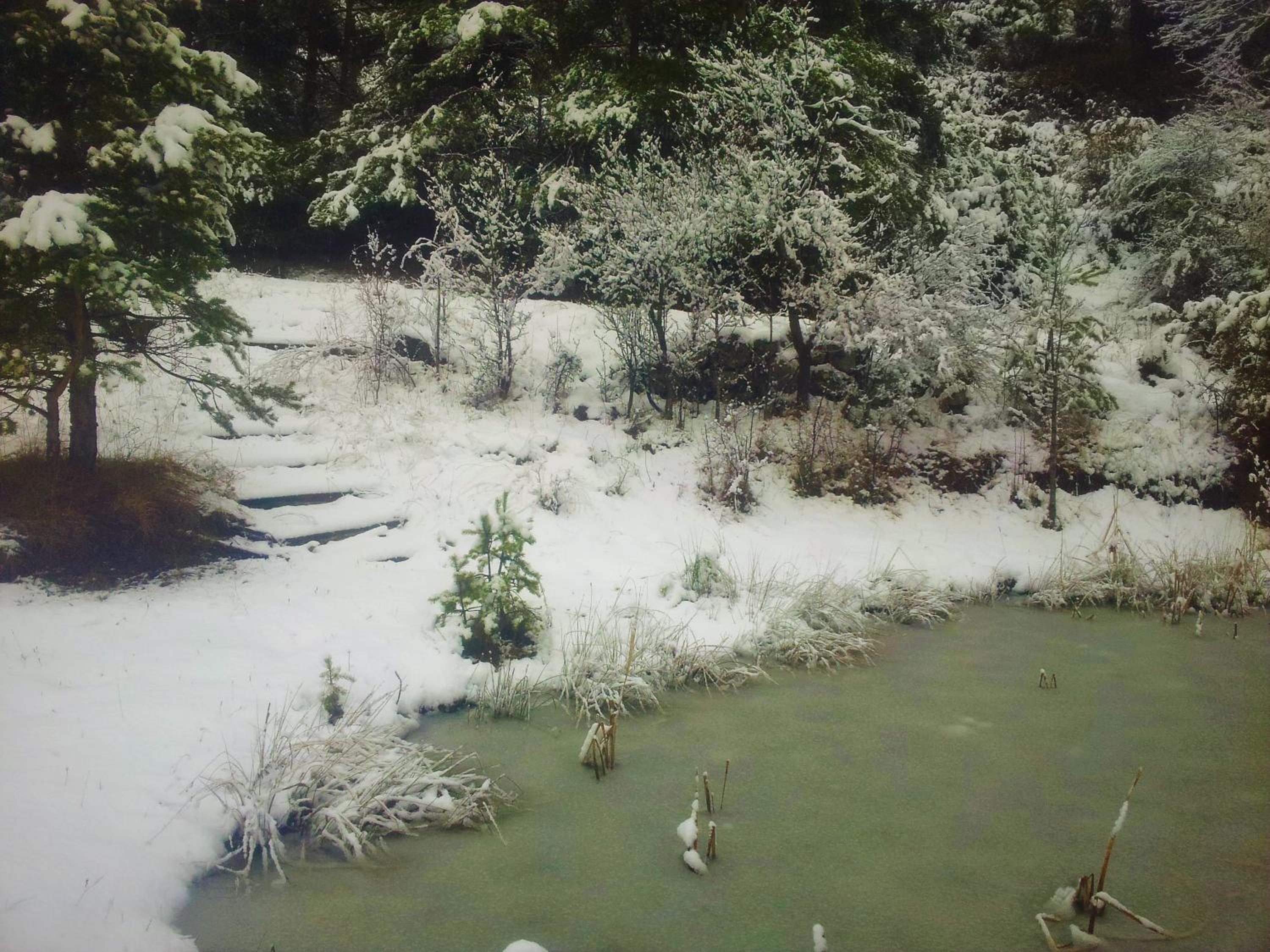 Photo 45