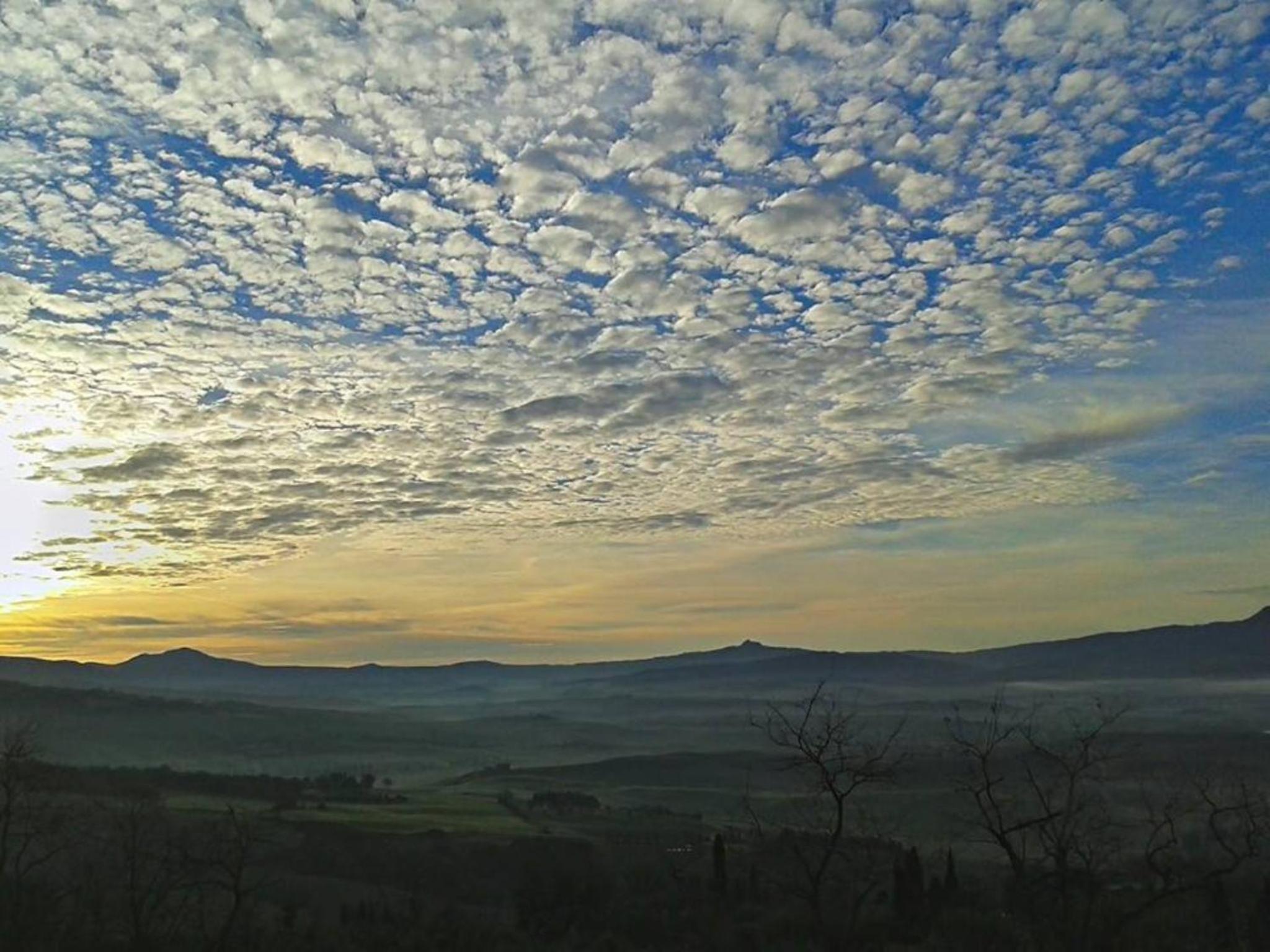 Agriturismo Il Macchione