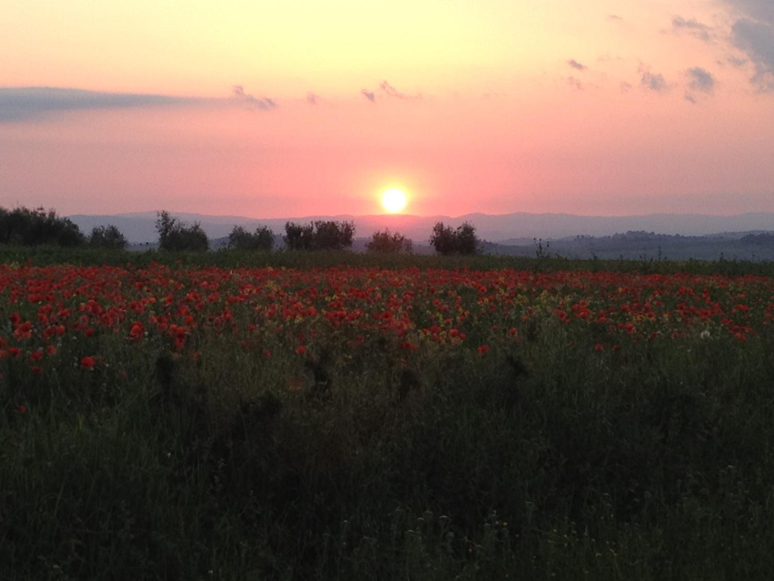 Agriturismo Il Macchione