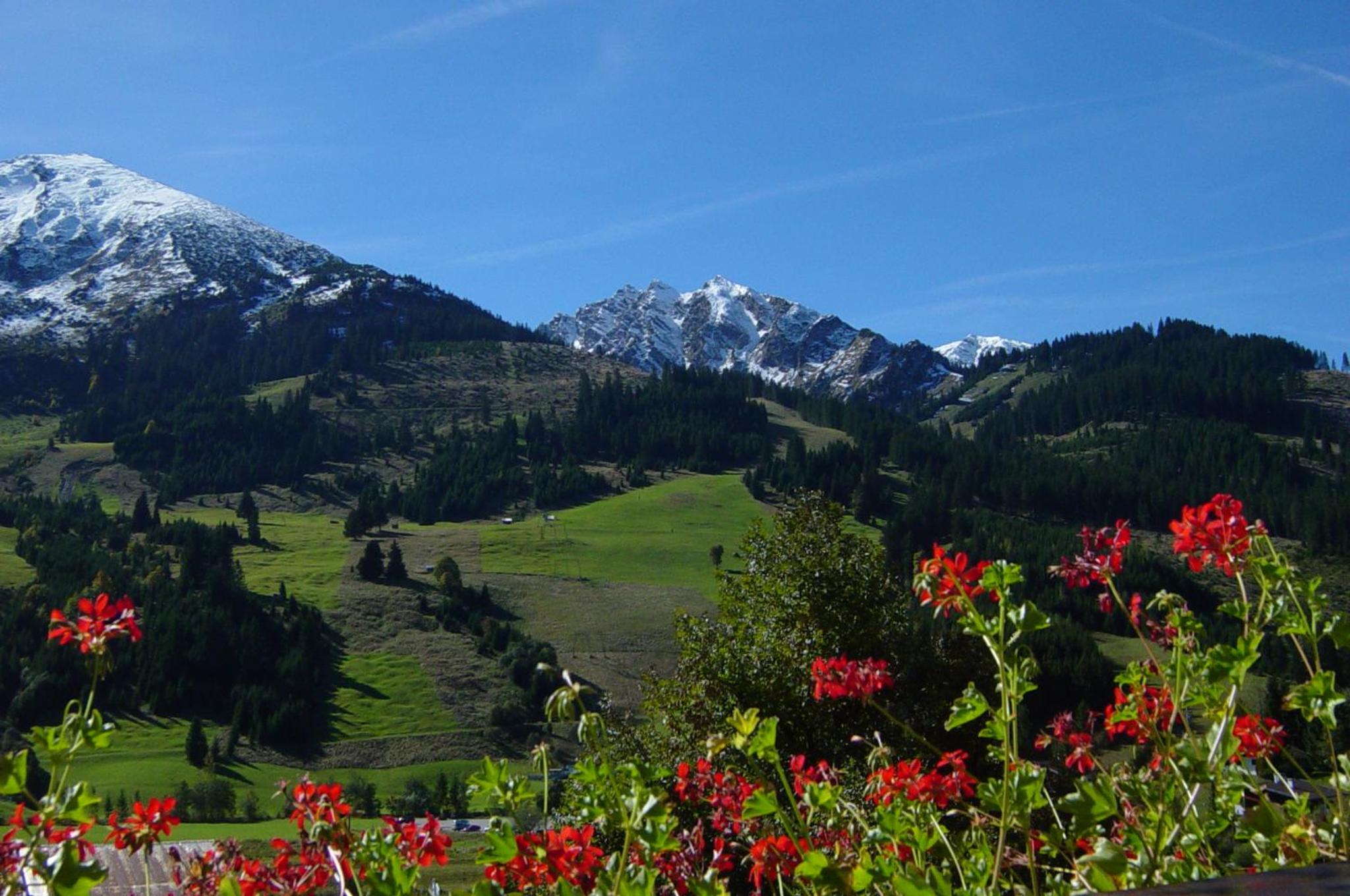 Chalet Tannheimer Tal