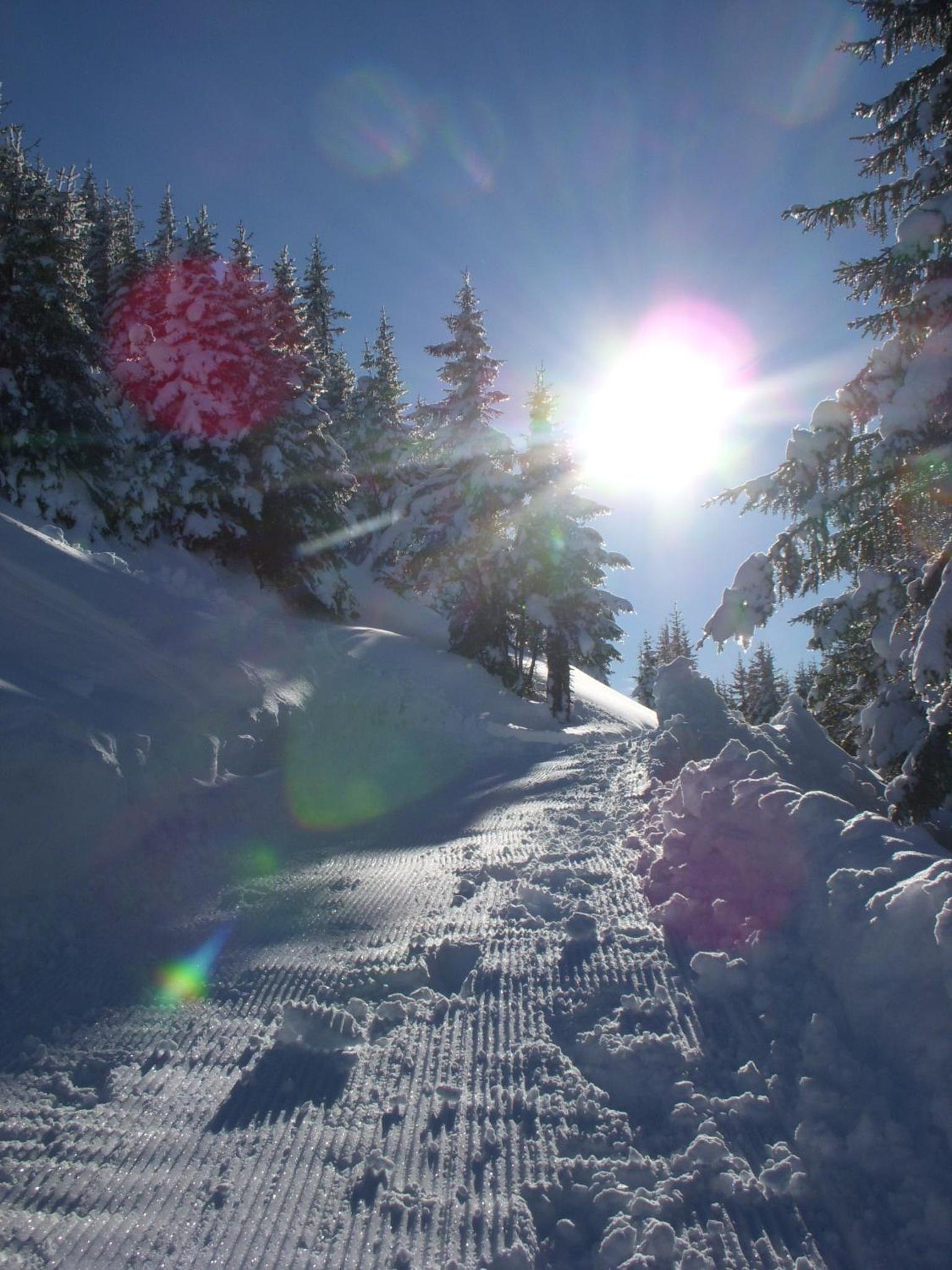 Chalet Tannheimer Tal