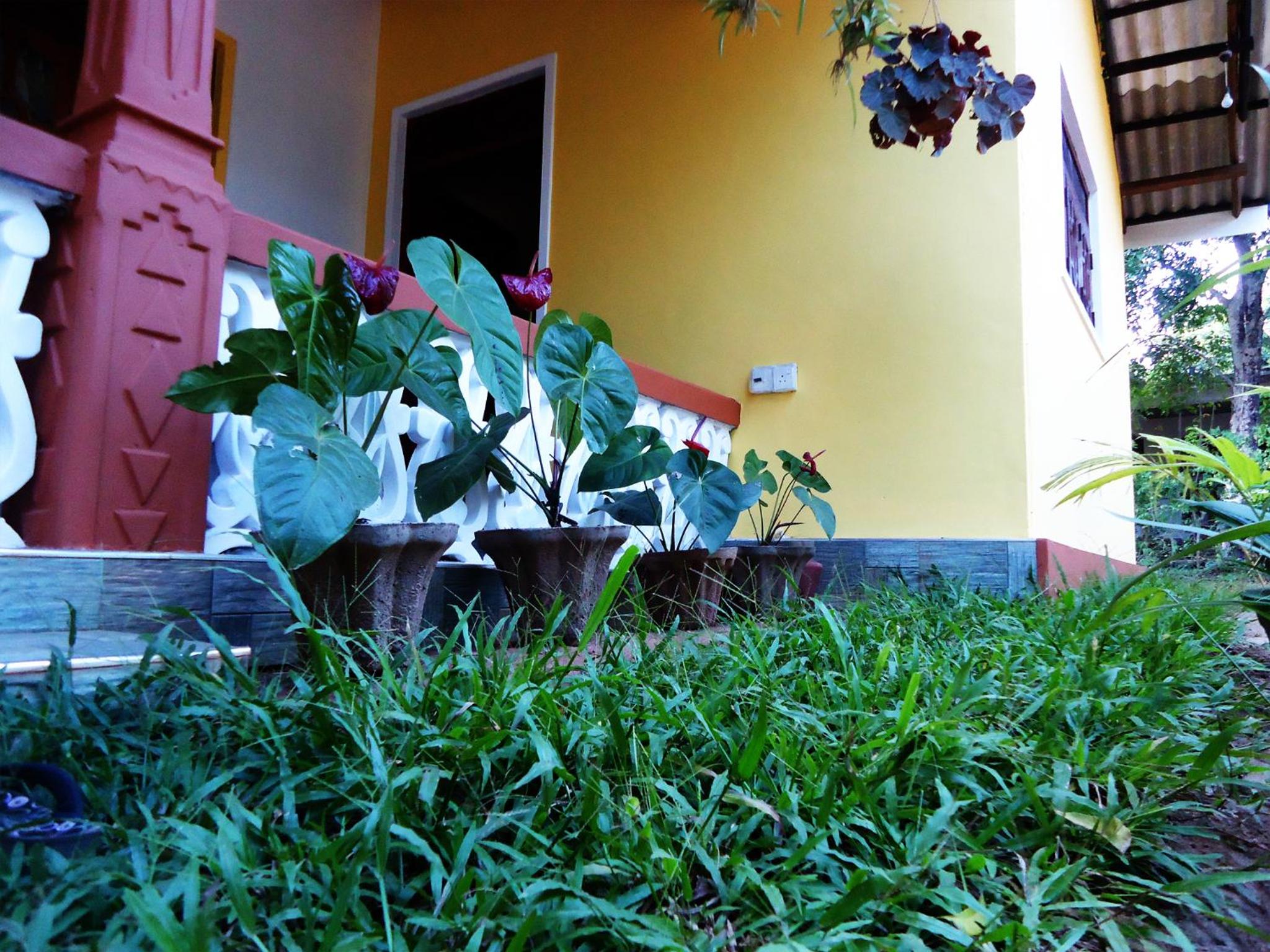 Photo 10