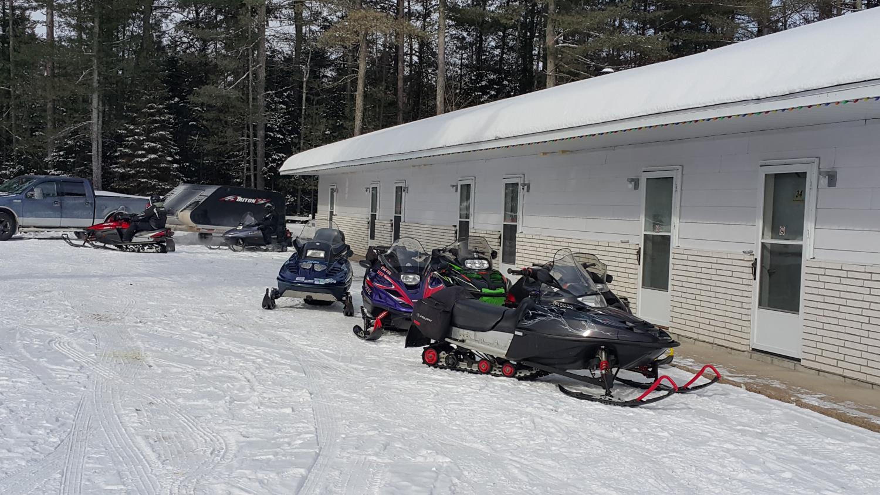 Pine Motel