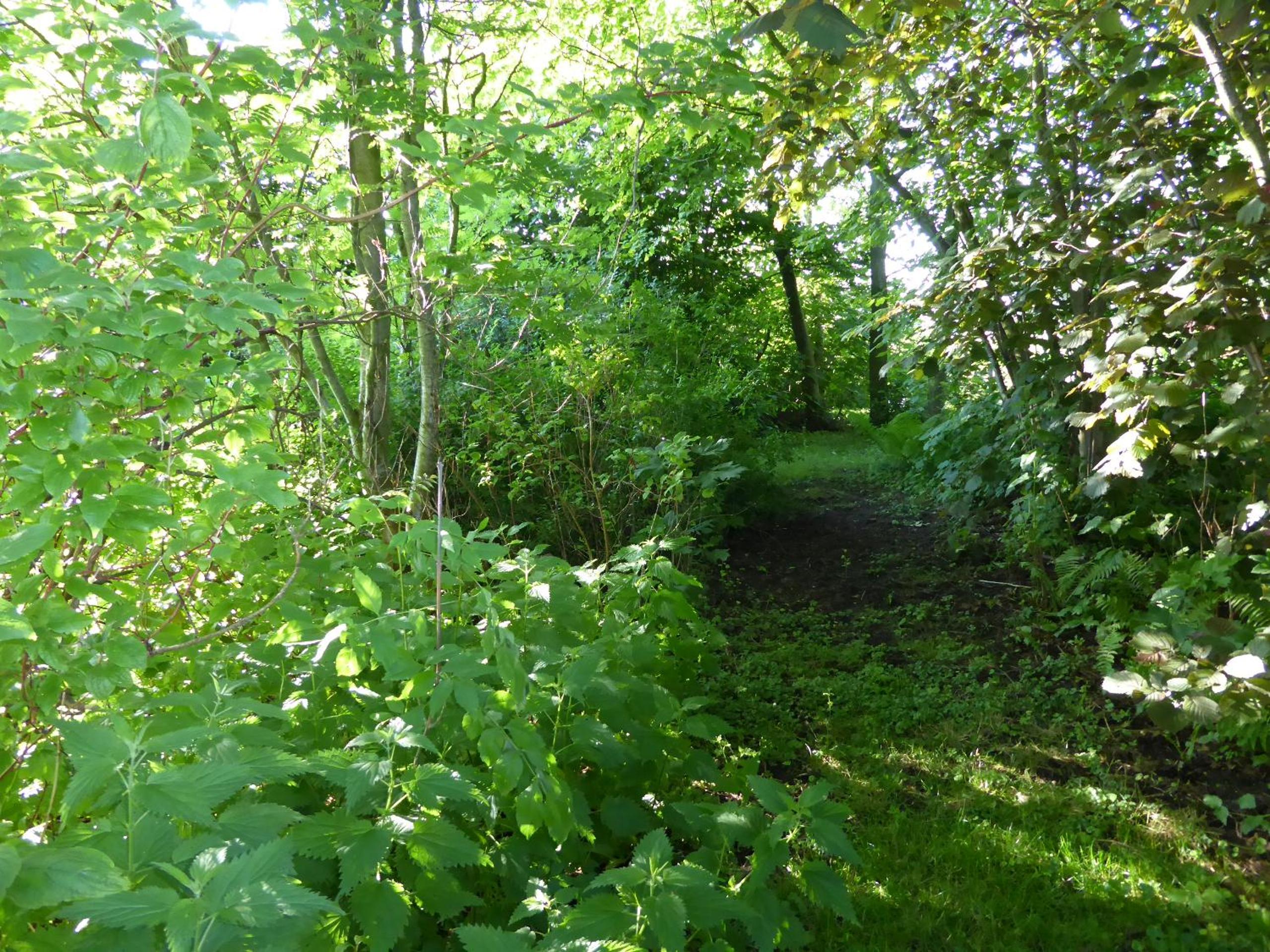 Logeren bij de Ruimte view 5