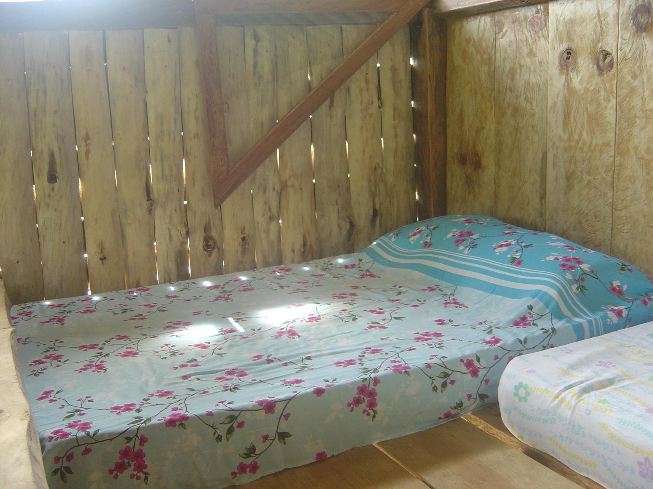Orgânica-Mente B&B