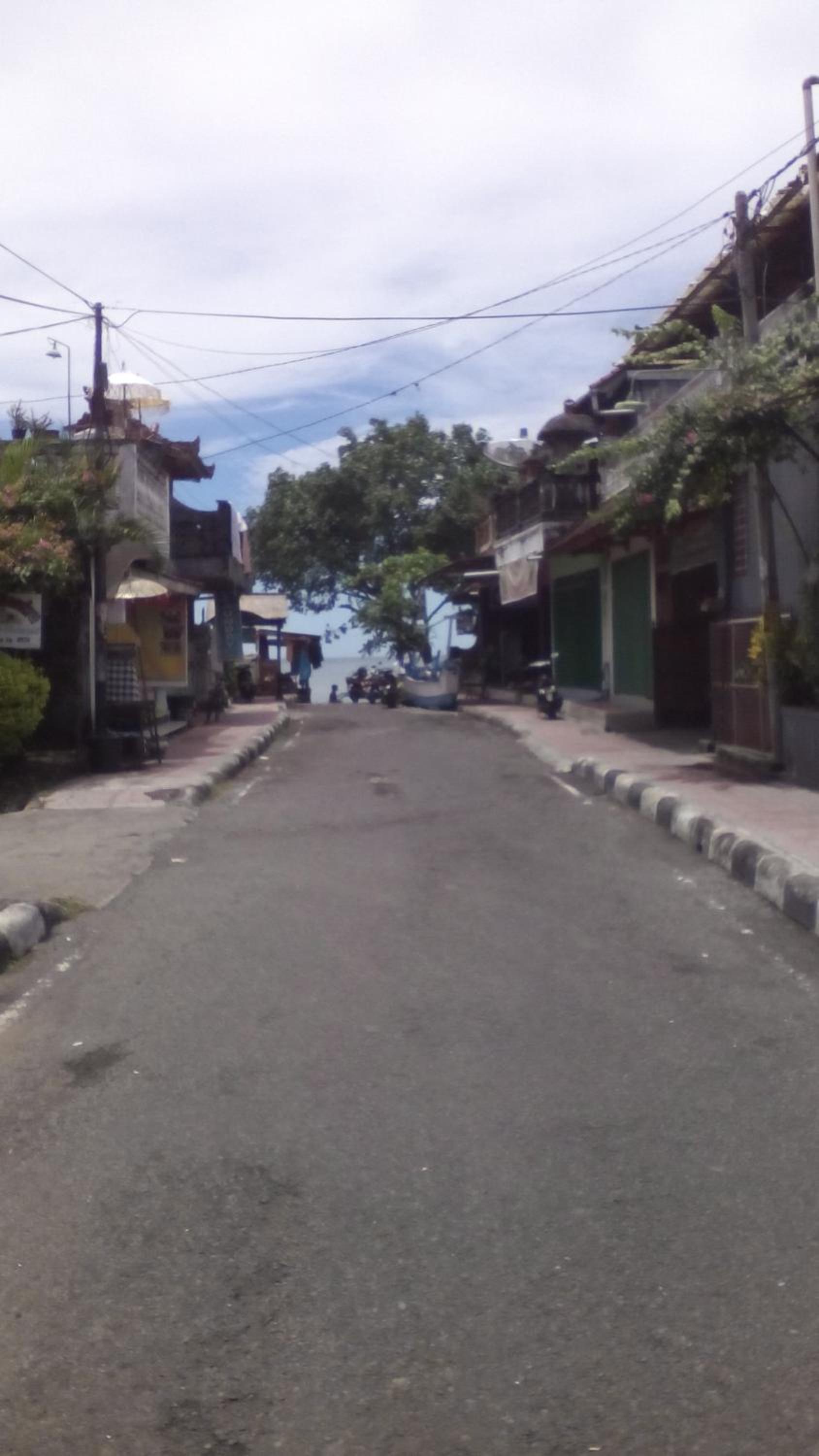 Puri Mandhara Lovina