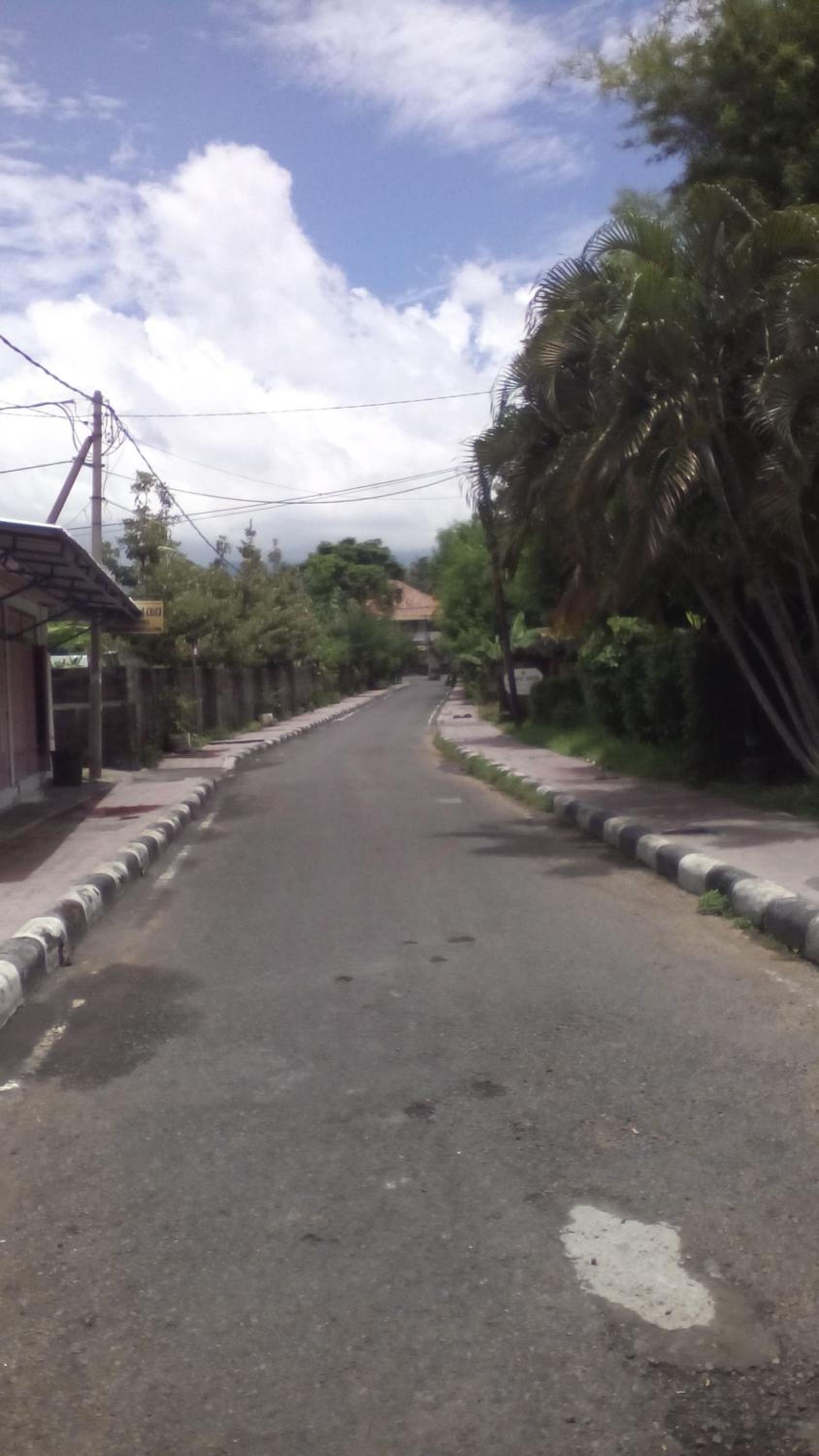Puri Mandhara Lovina