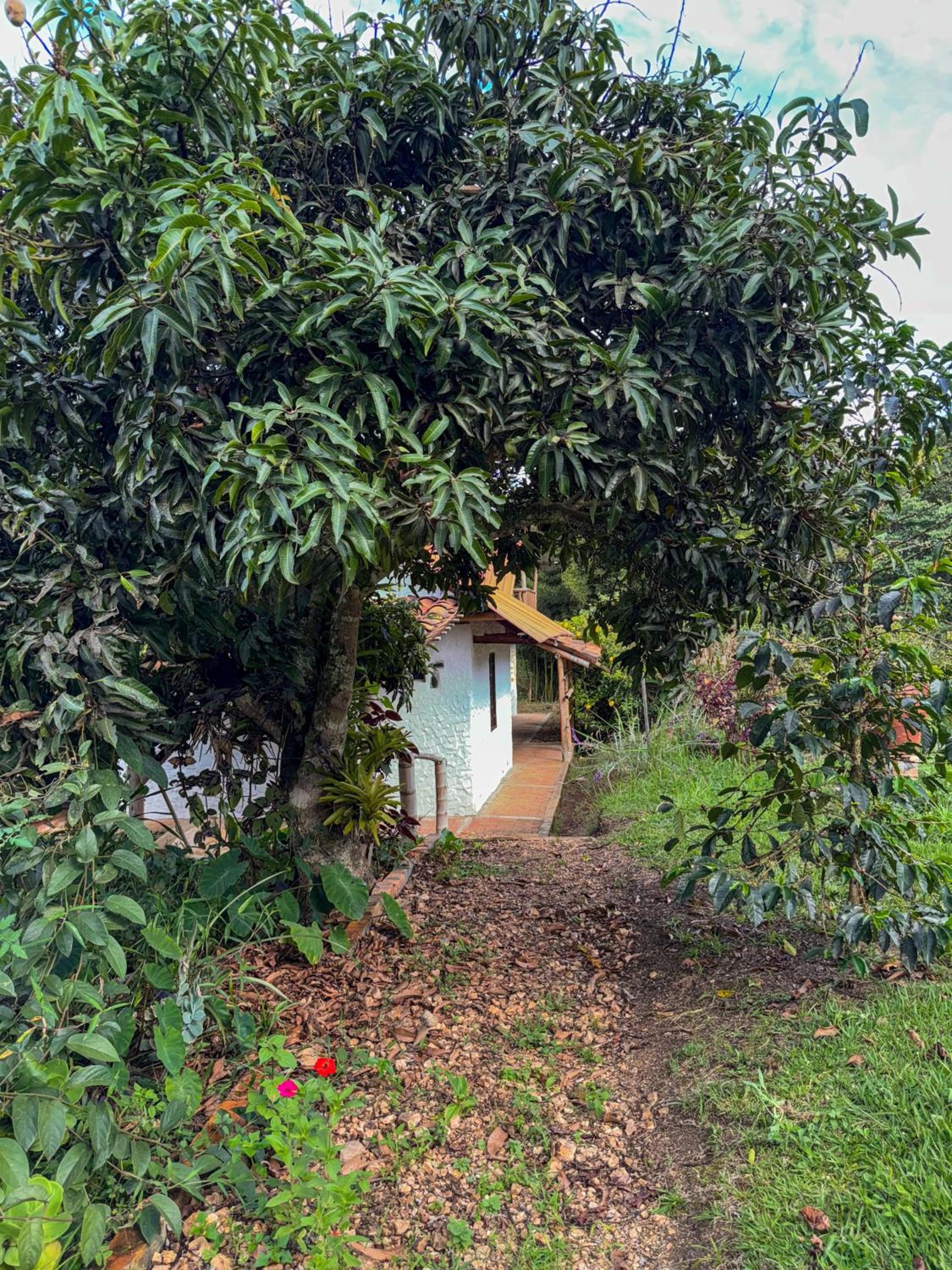 Hostal Pachamama, photo 4