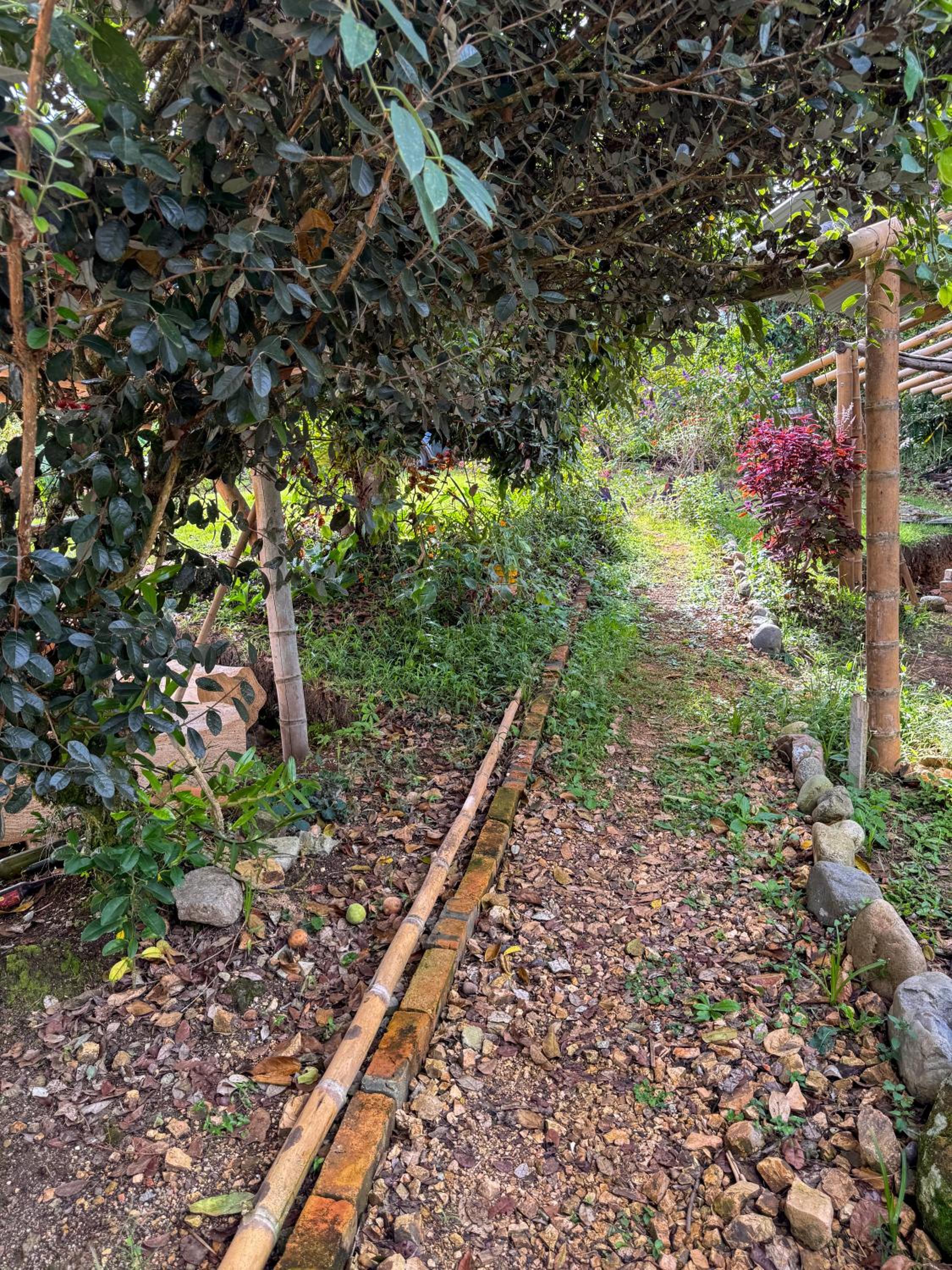 Hostal Pachamama, photo 37