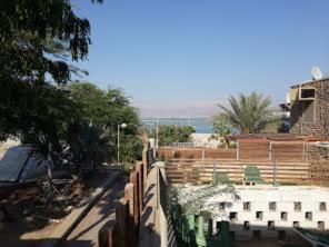 Rose Dead Sea Neve Zohar view 3