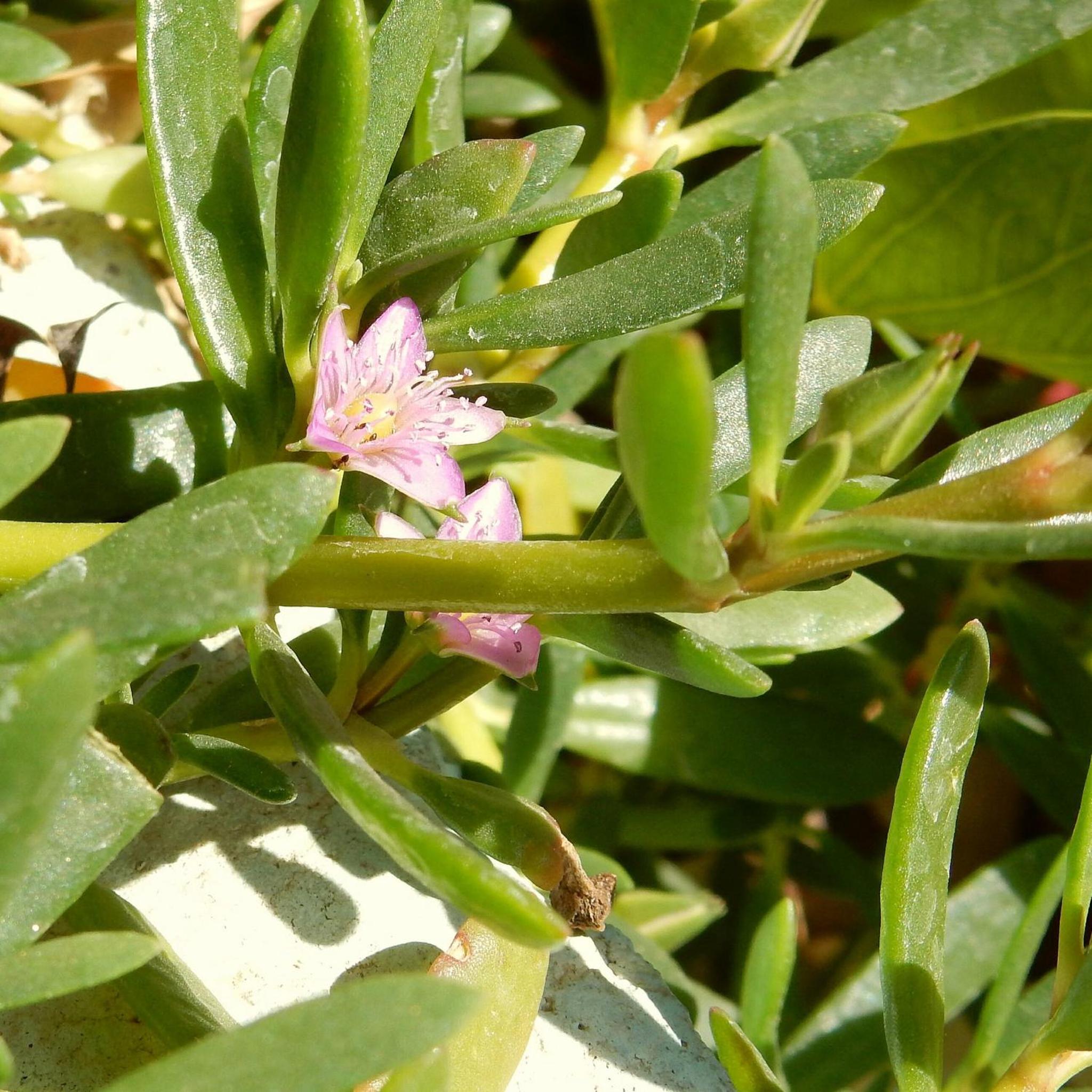 Photo 47