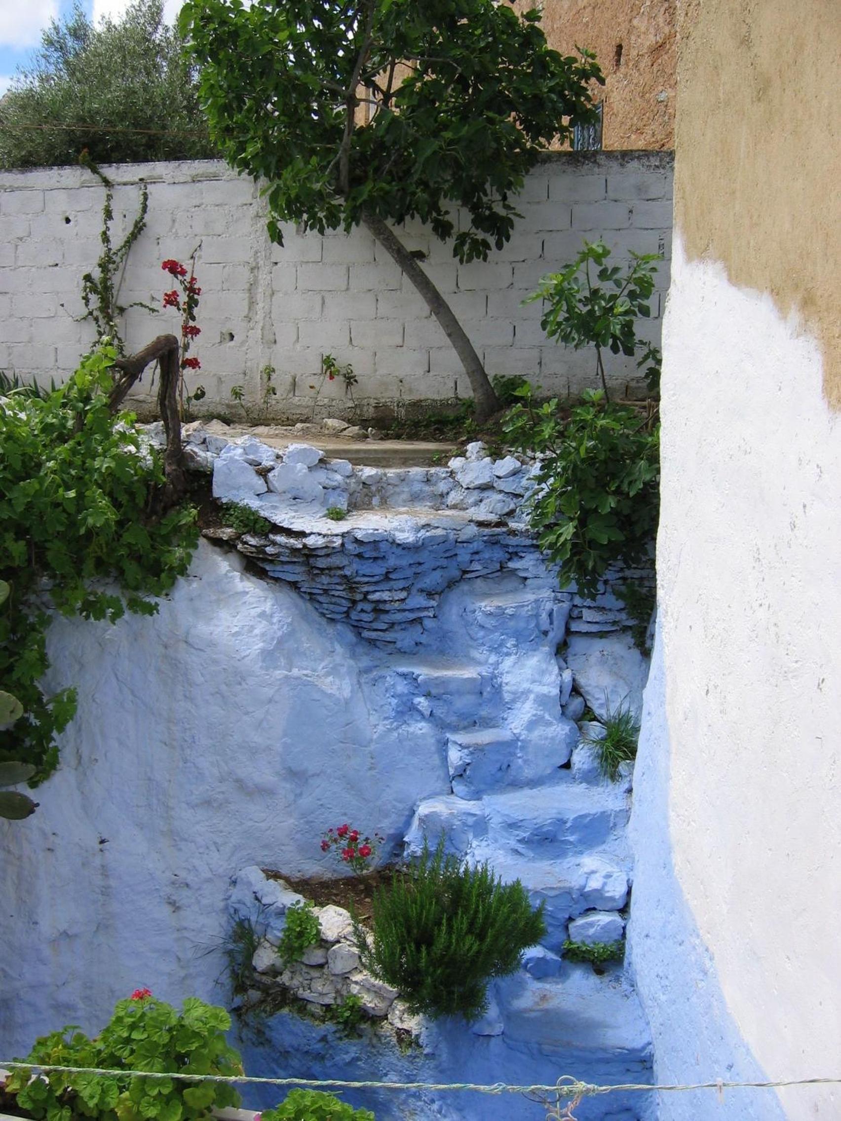 Dar Dalia view 5