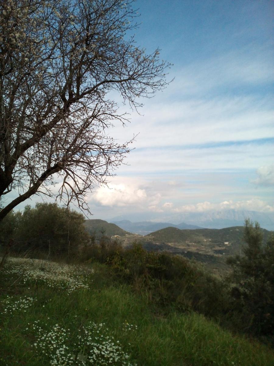 Photo 53