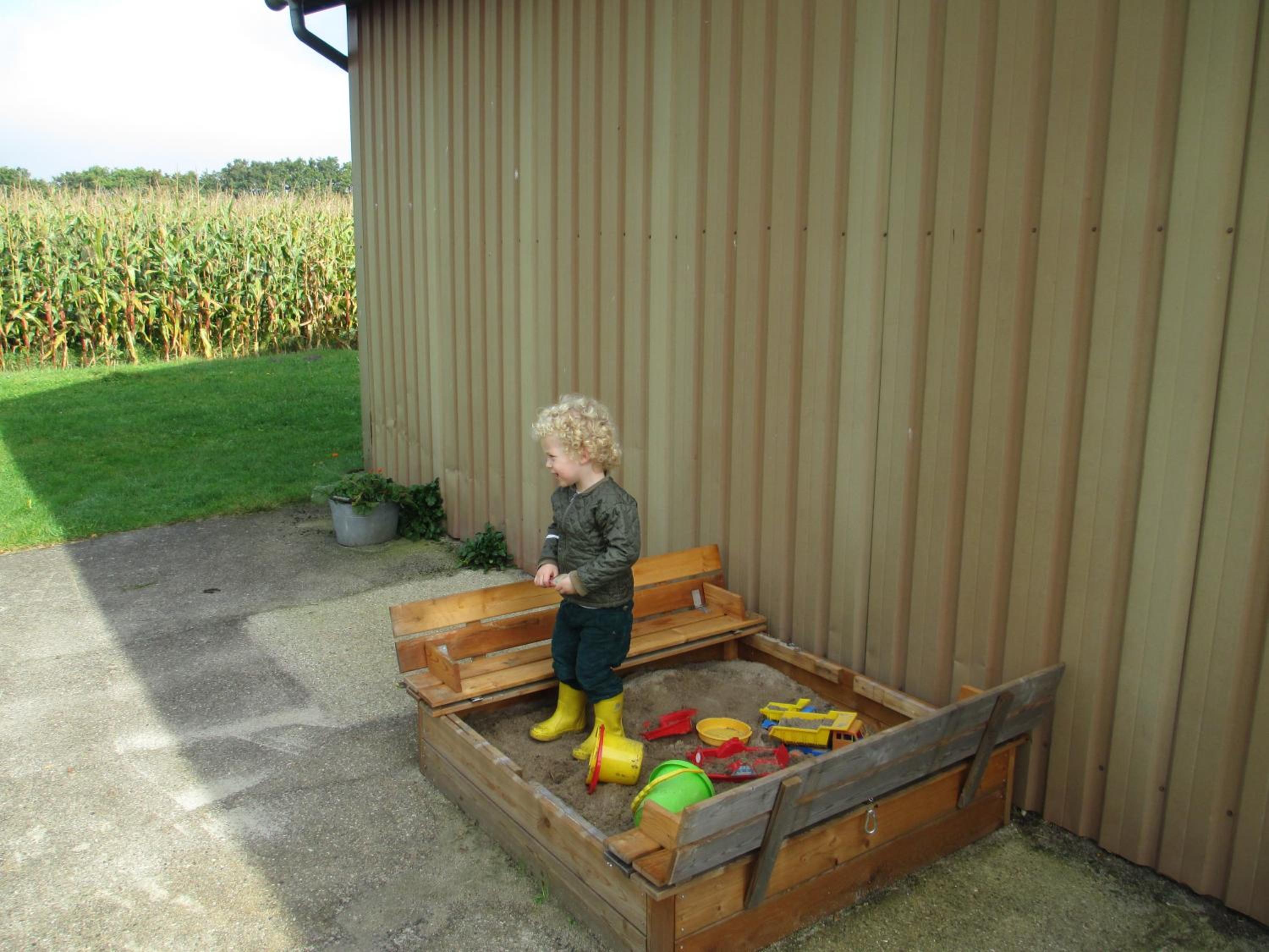 Photo 43