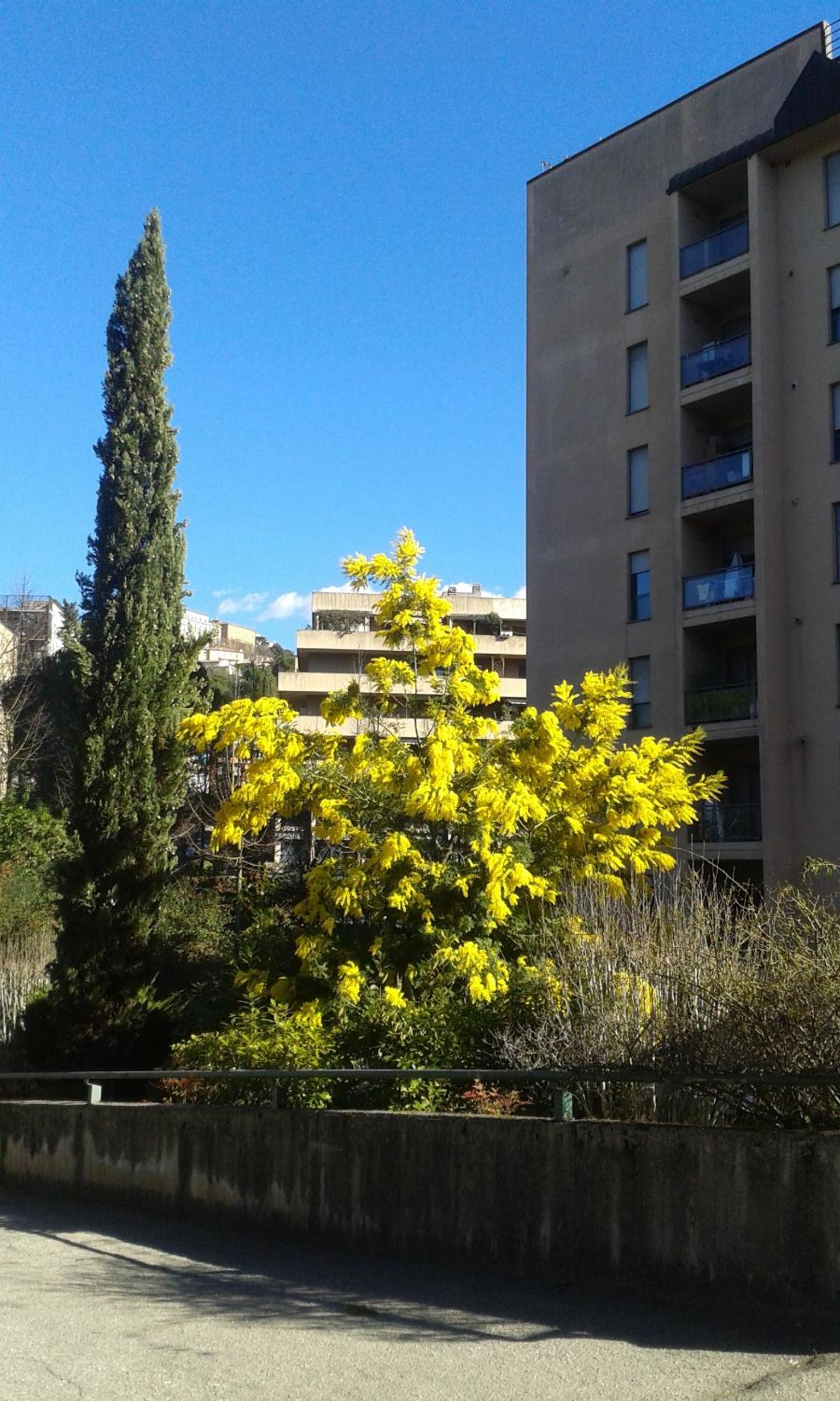 Le Torri Apartments