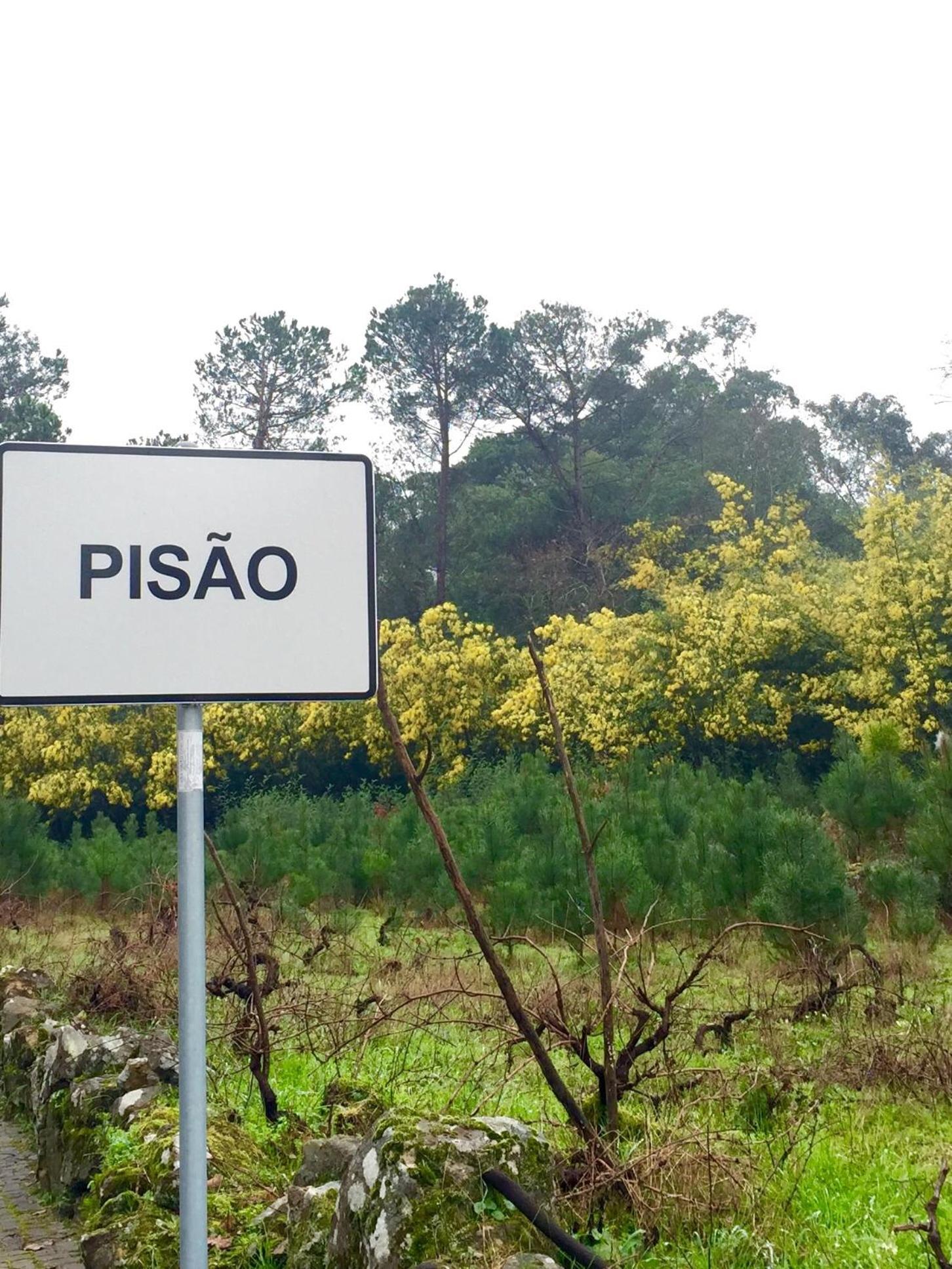 Moinhos do Pisão