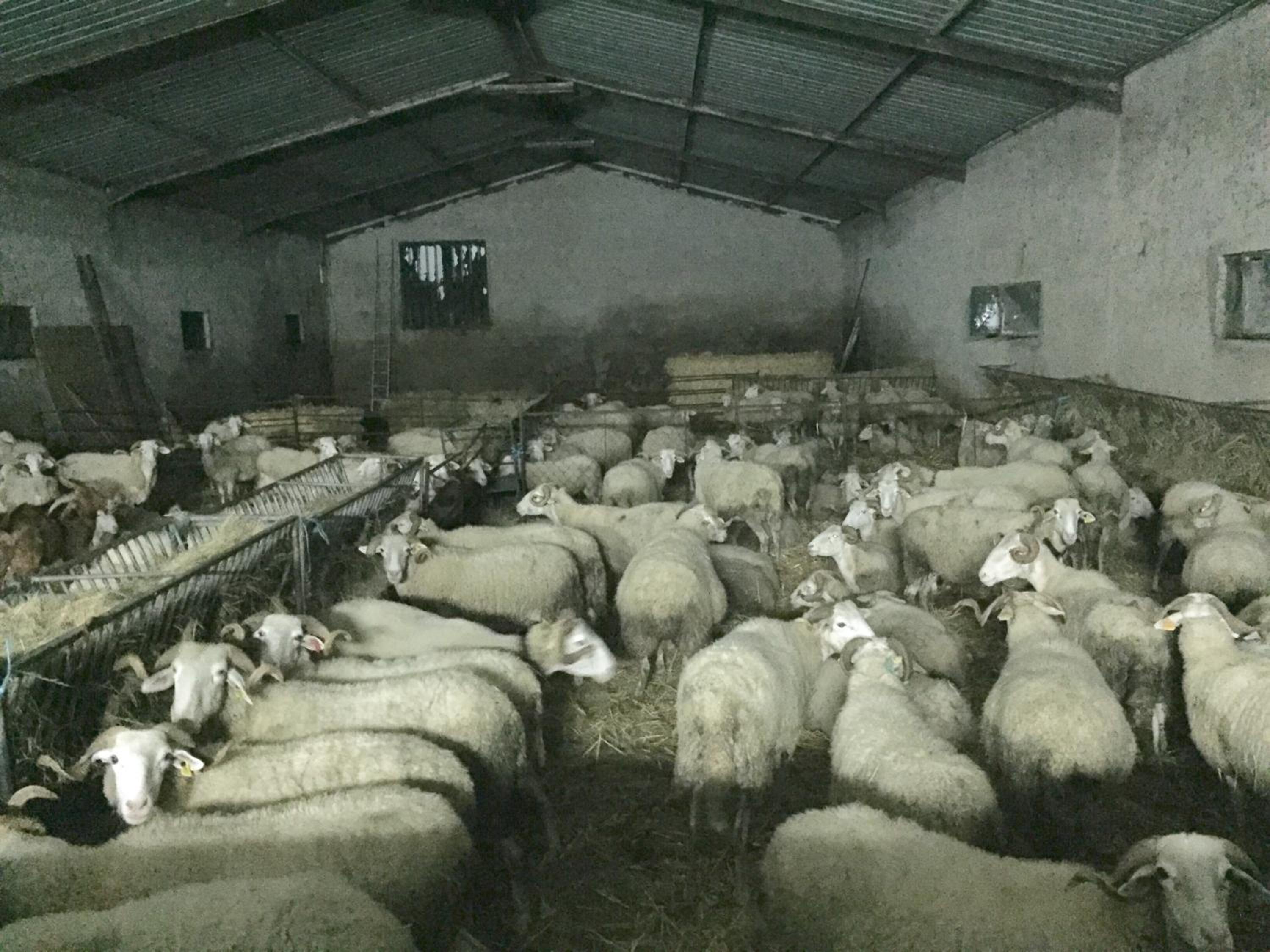 Moinhos do Pisão