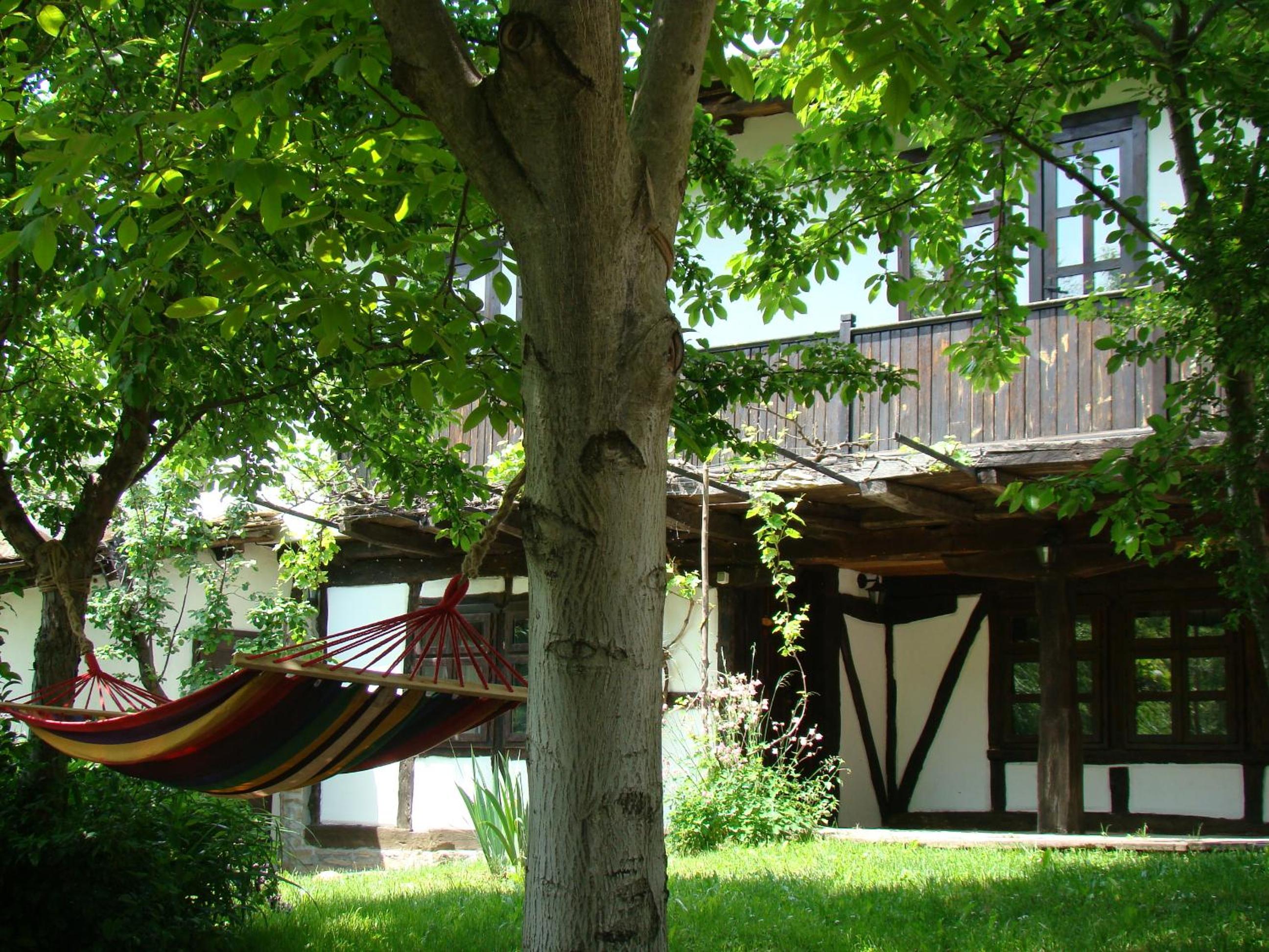 Photo 43