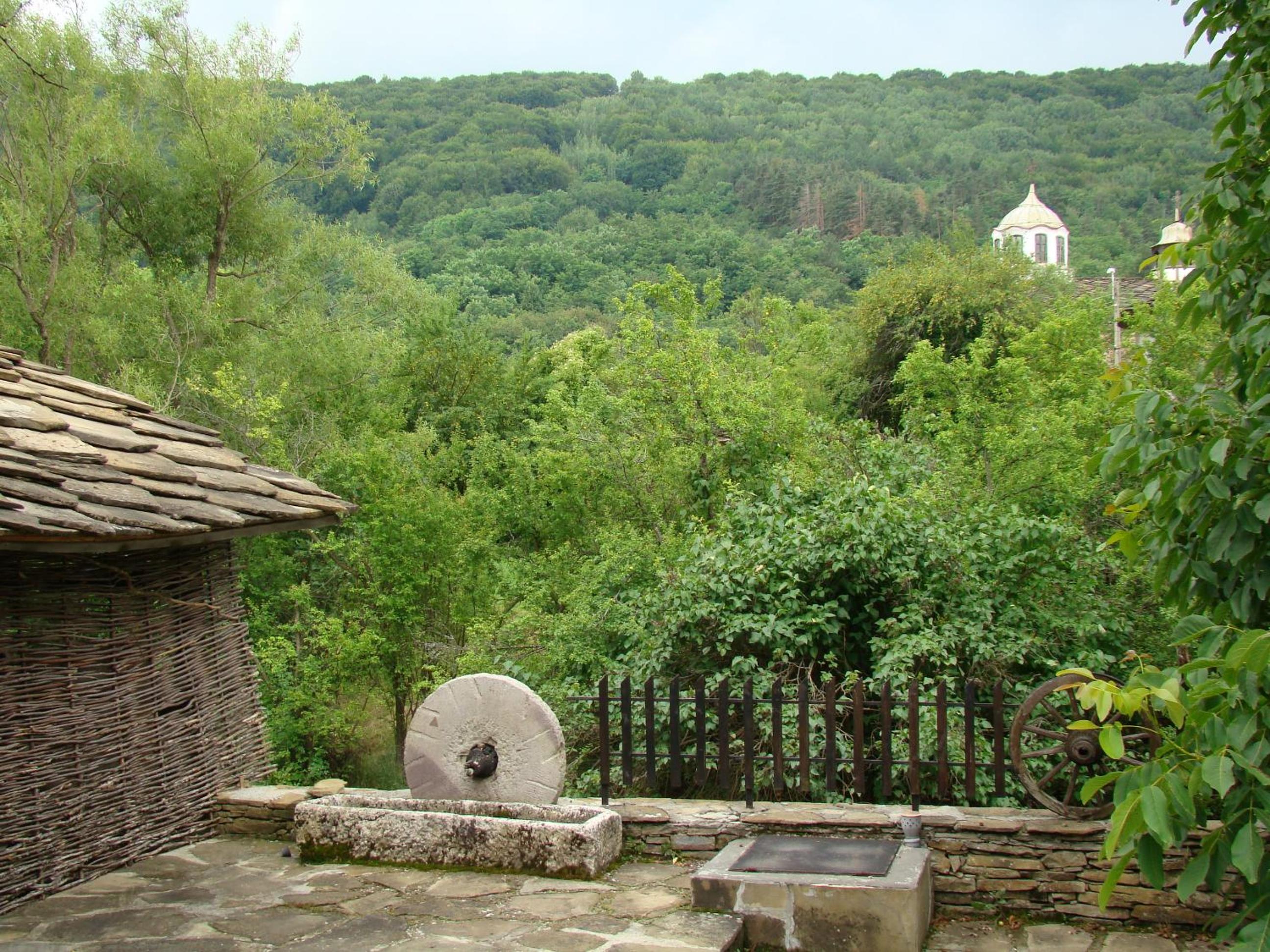 Photo 41