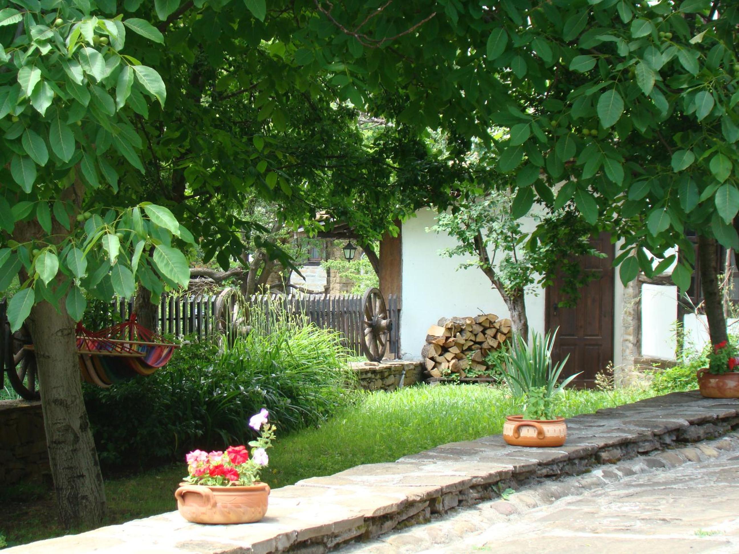Photo 38