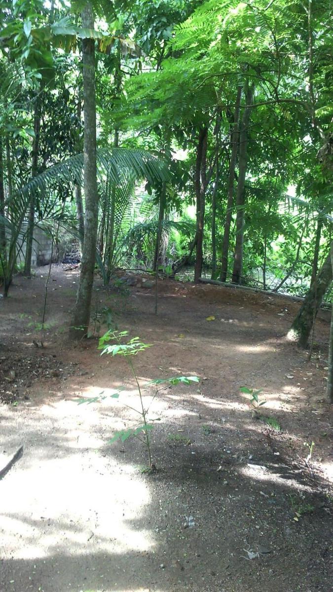 Photo 41