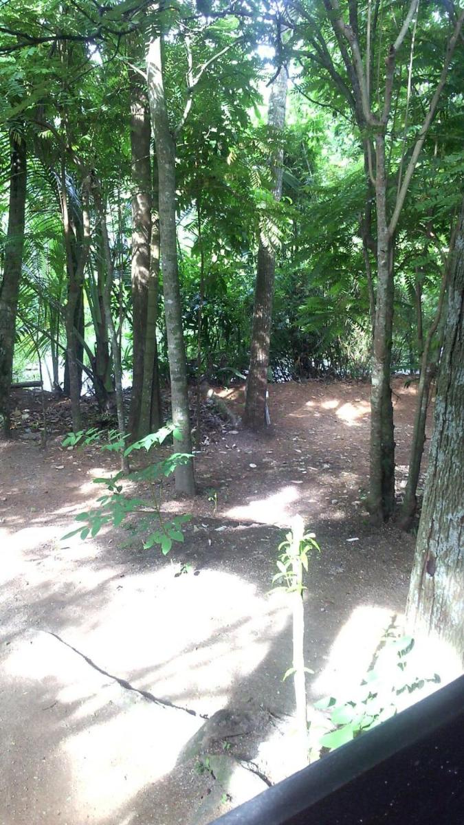Photo 42