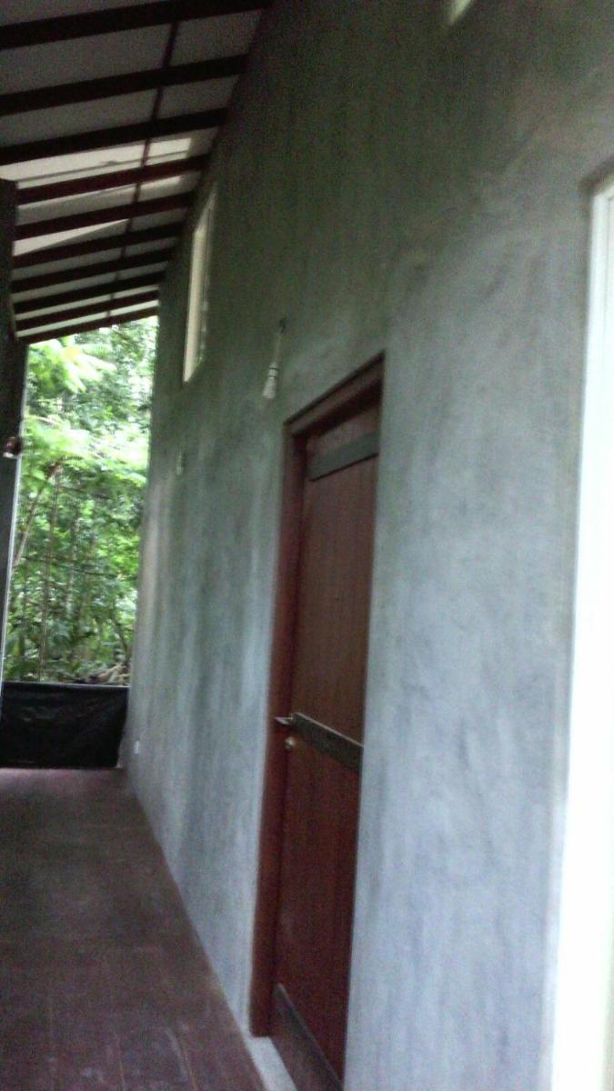 Photo 44