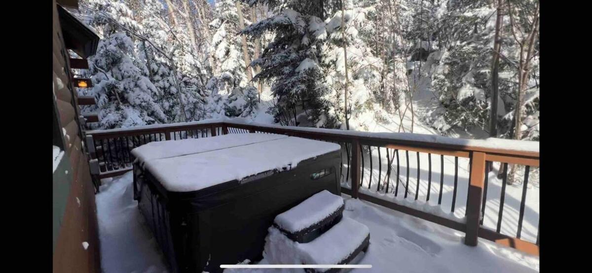 The Apartment at the Slopeside Estate House - Ski On Ski Off, Hot Tub, Mountain Views
