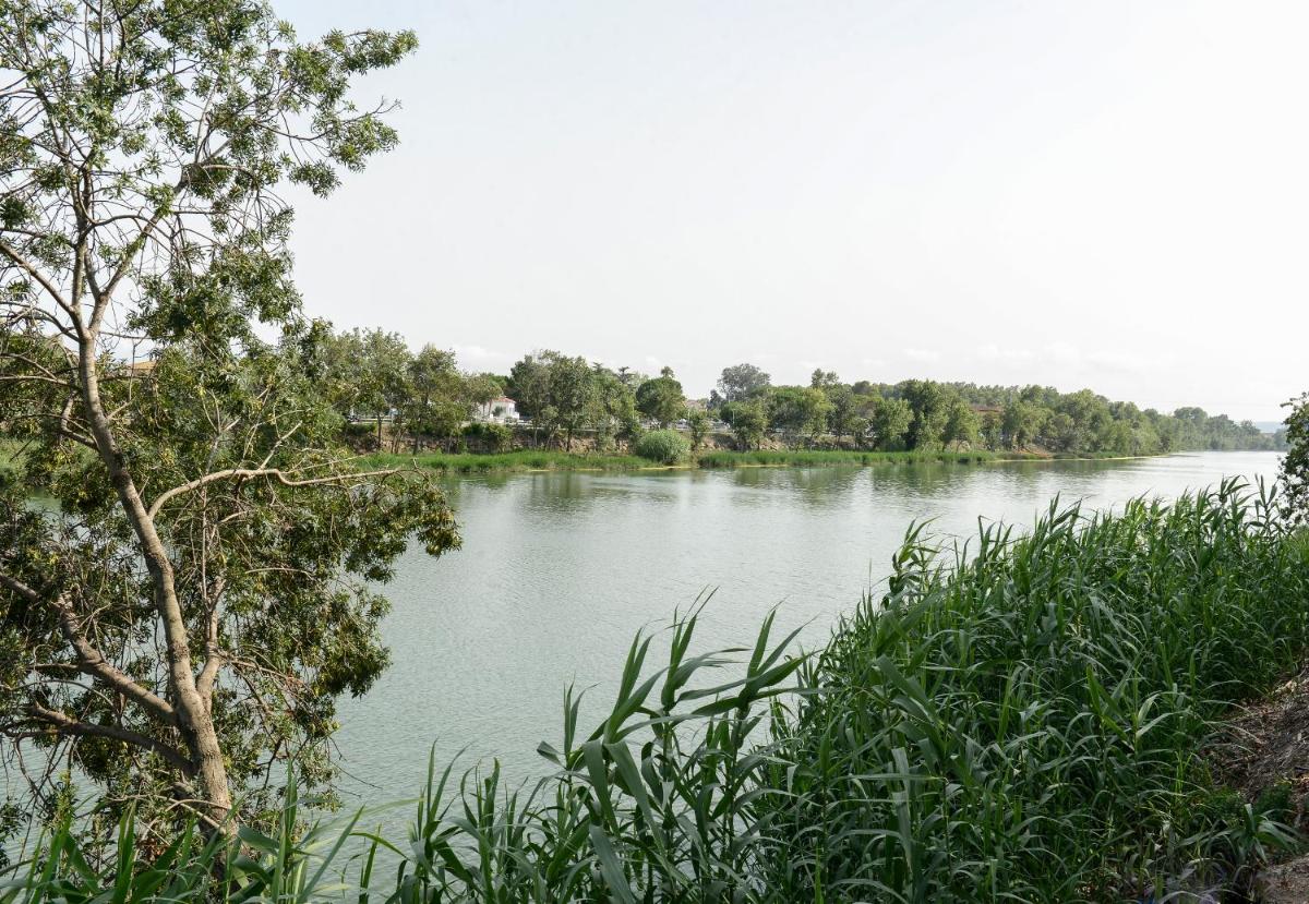 Photo 30
