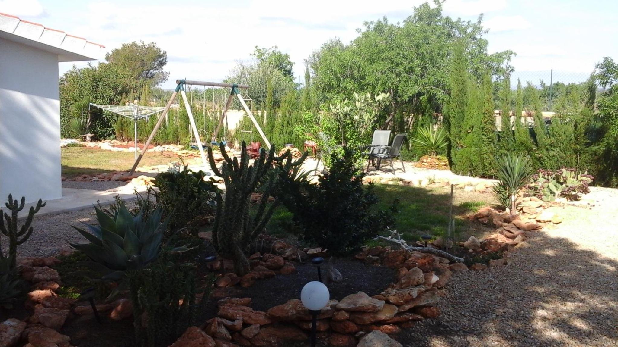 Photo 11
