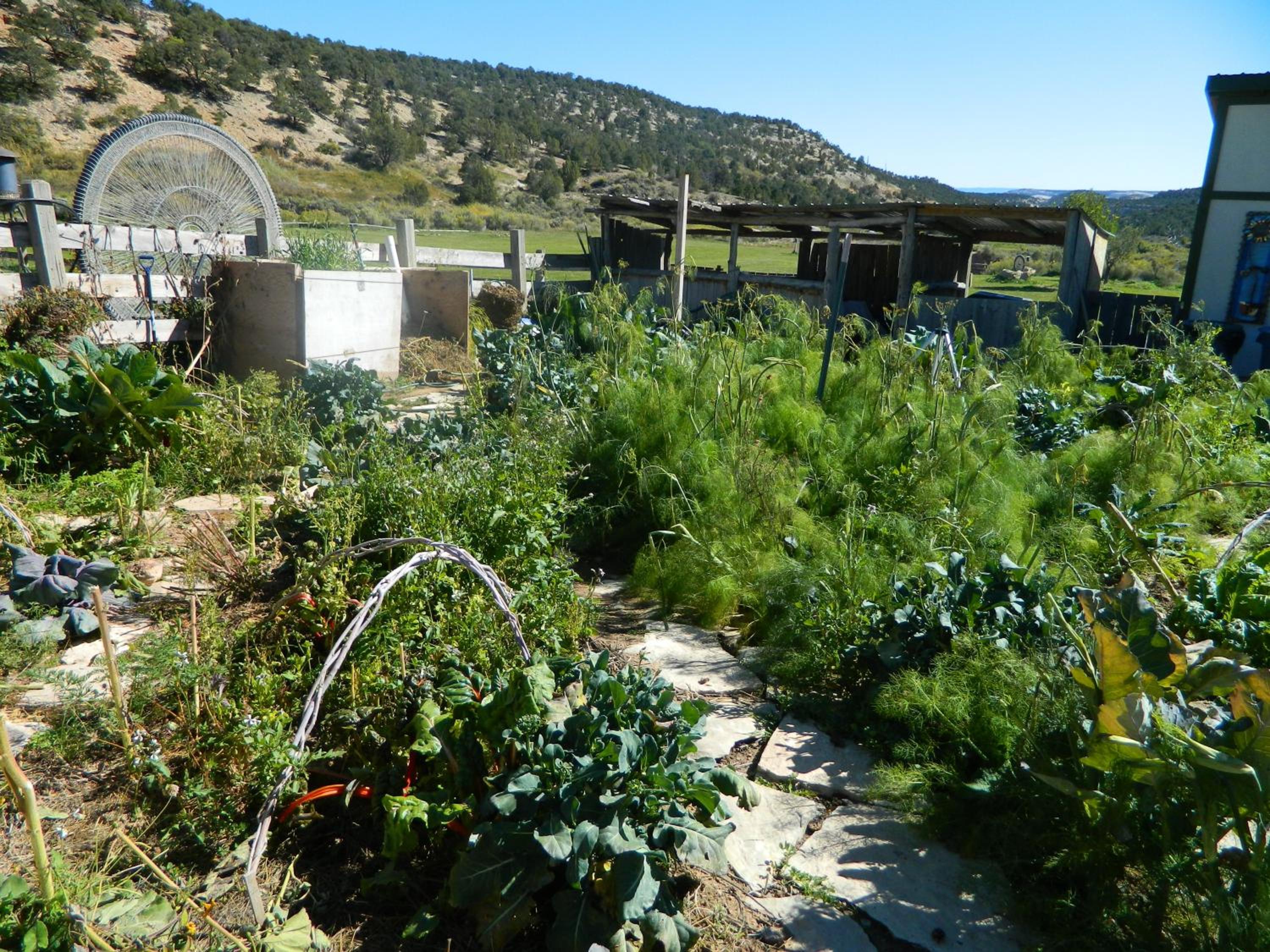 Boulder Mountain Guest Ranch